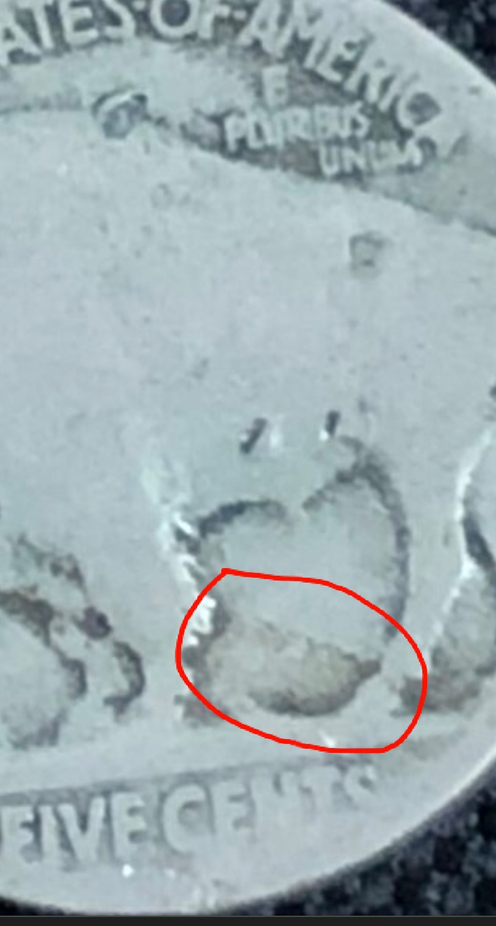 20210923_201140.jpg