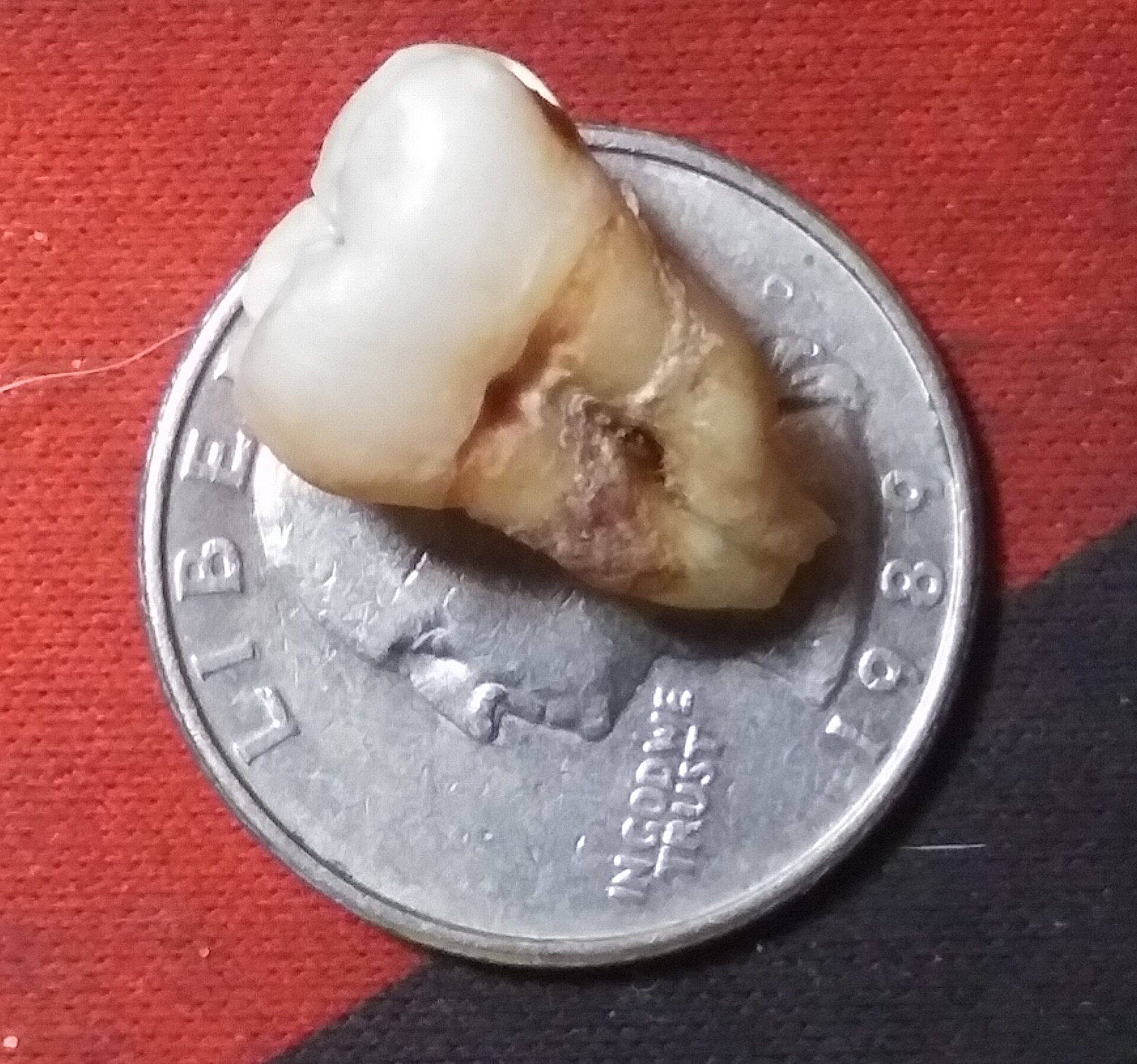 20210927_144347.jpg