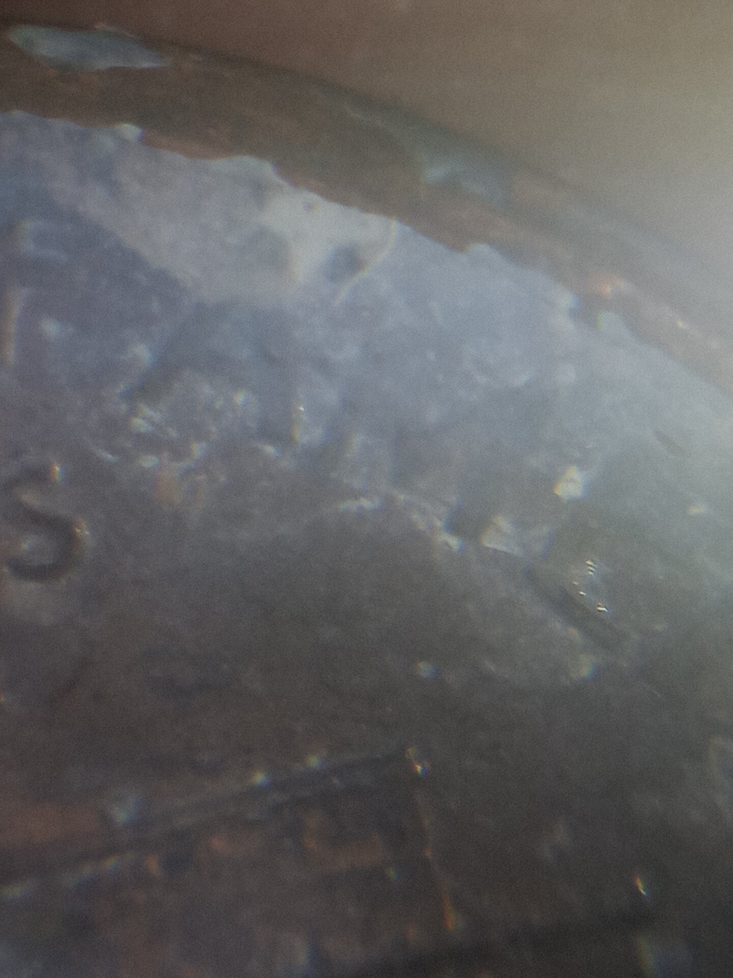 20211003_102525.jpg