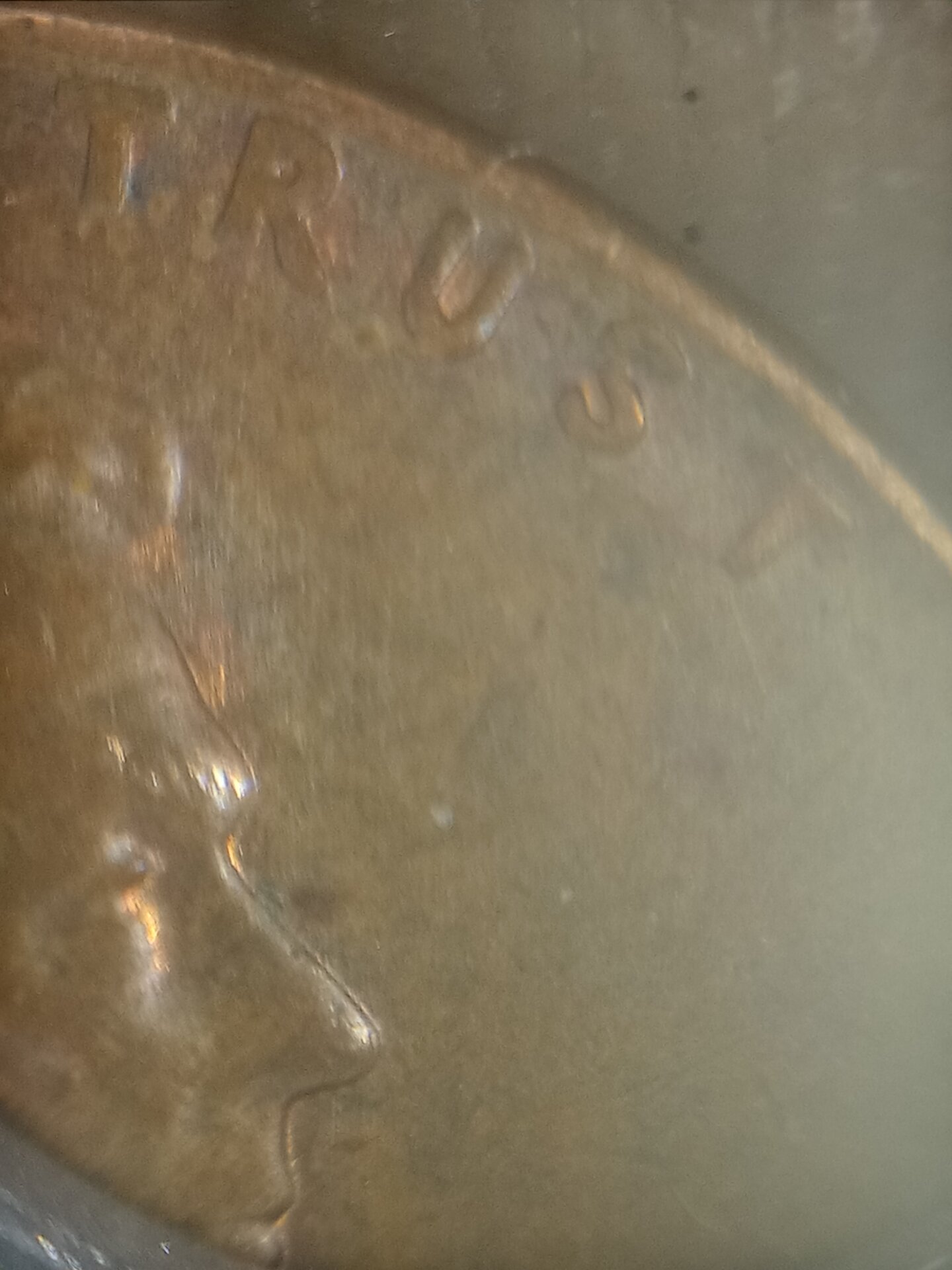 20211005_202325.jpg