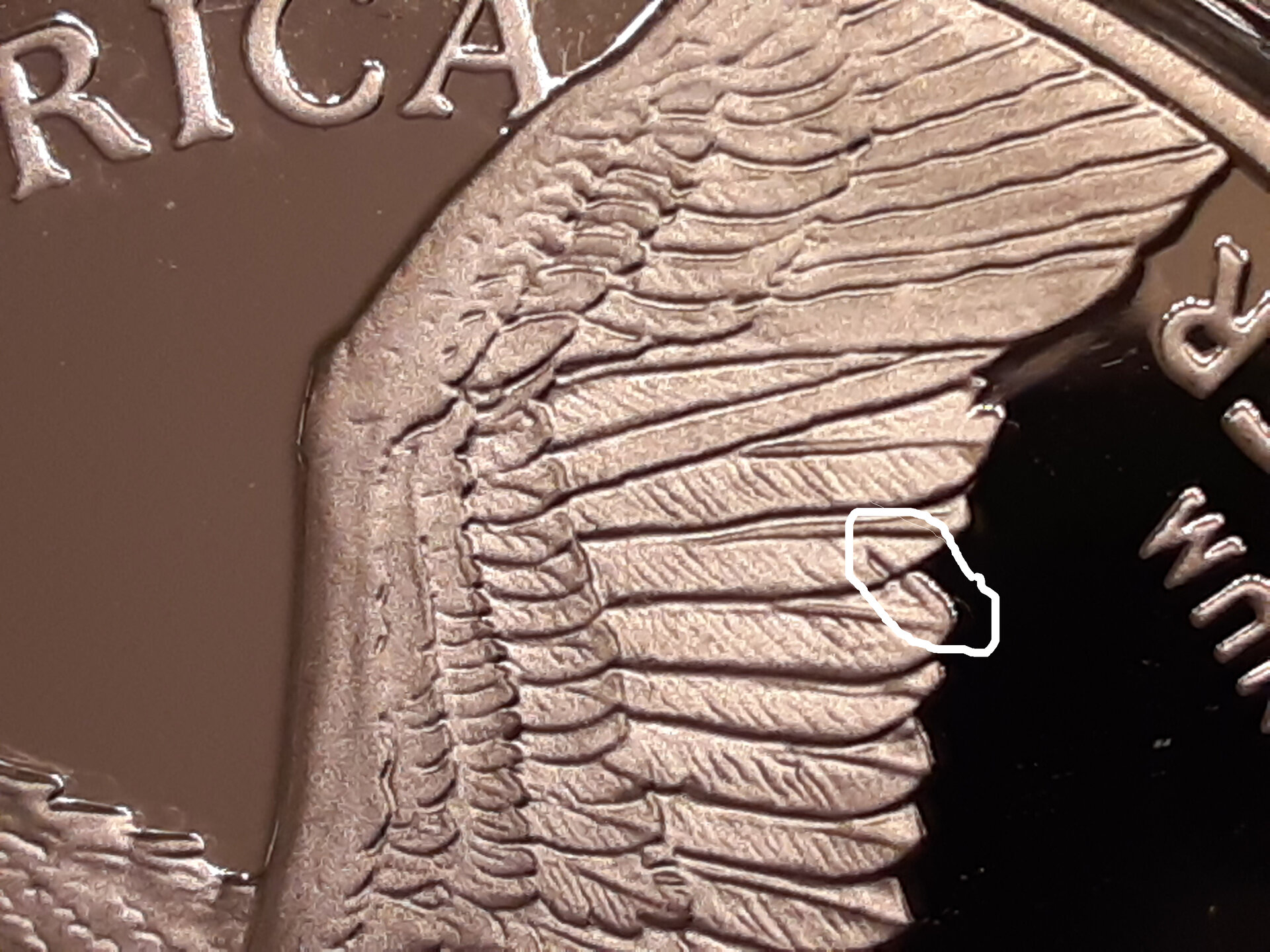 20211021_232909 copy.jpg