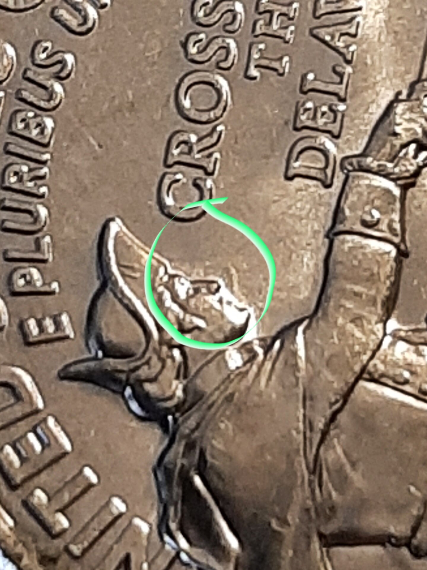 20211025_141348.jpg