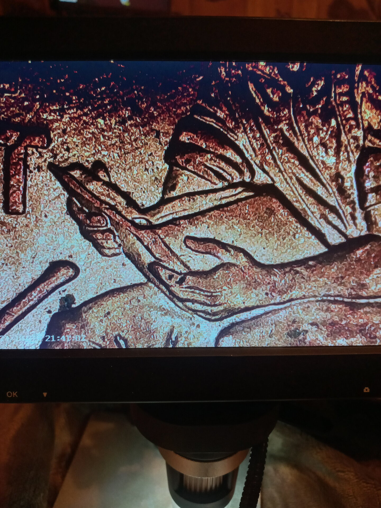 20211025_213653_HDR.jpg