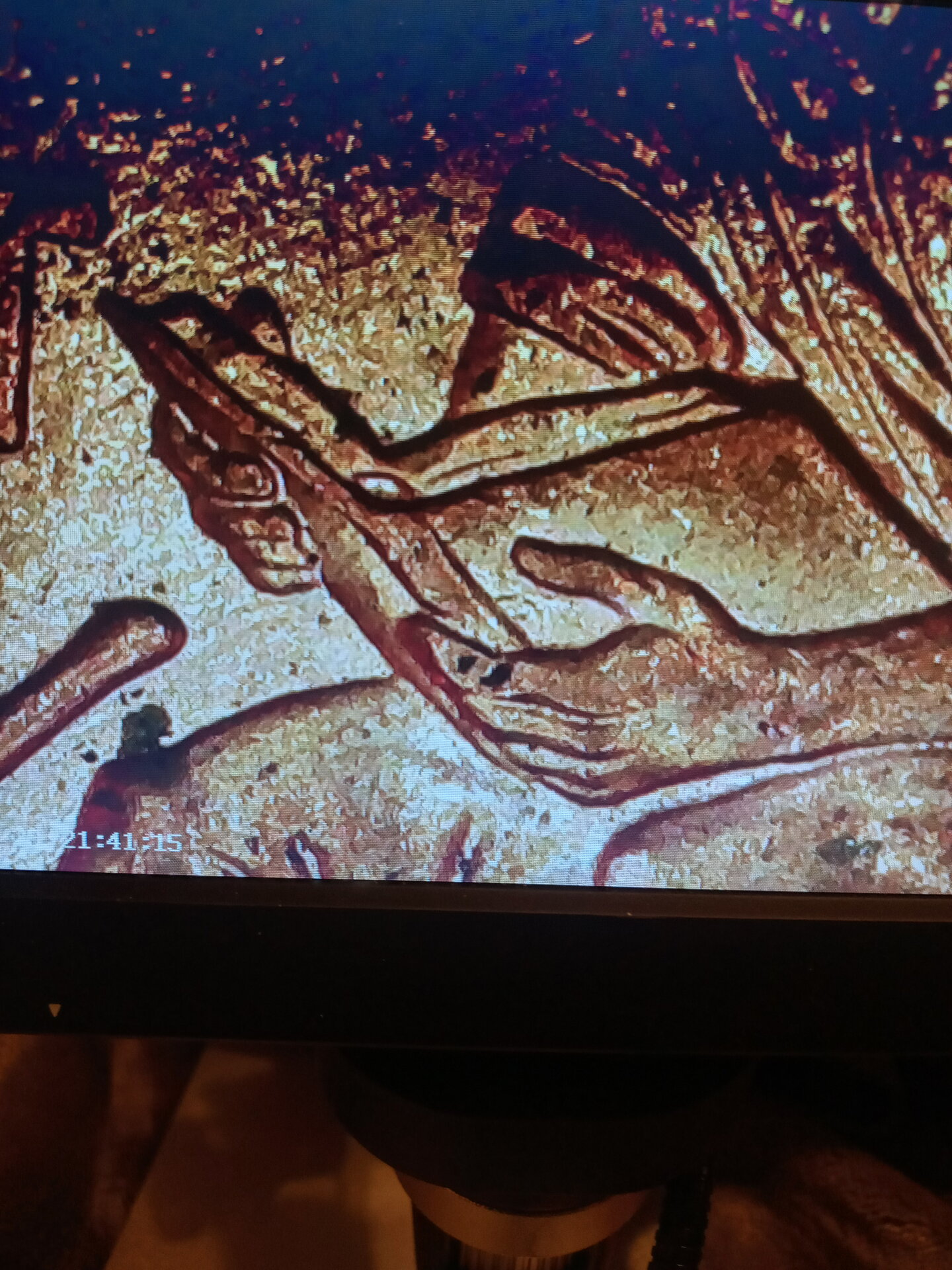 20211025_213706_HDR.jpg