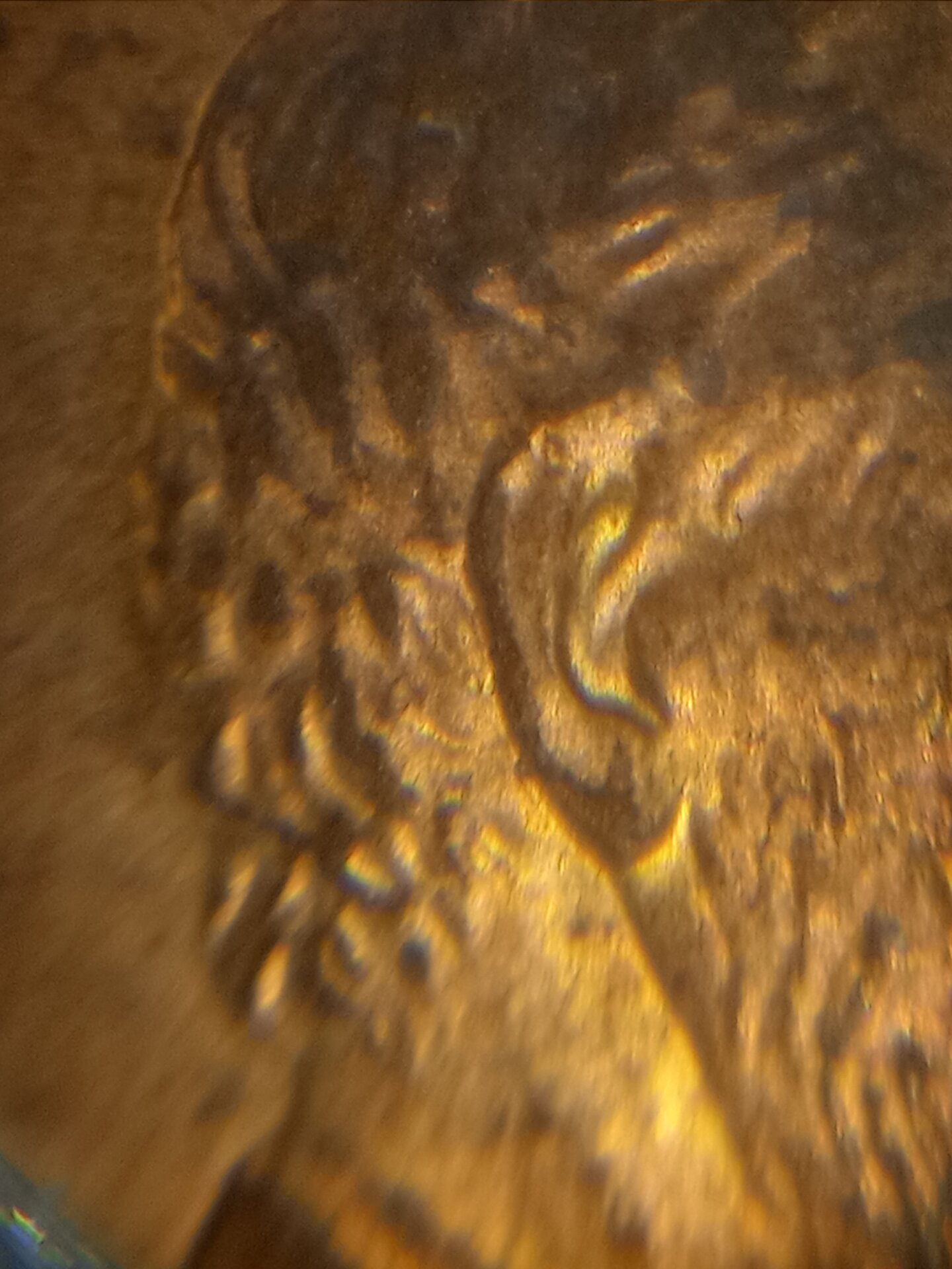 20211029_221512.jpg