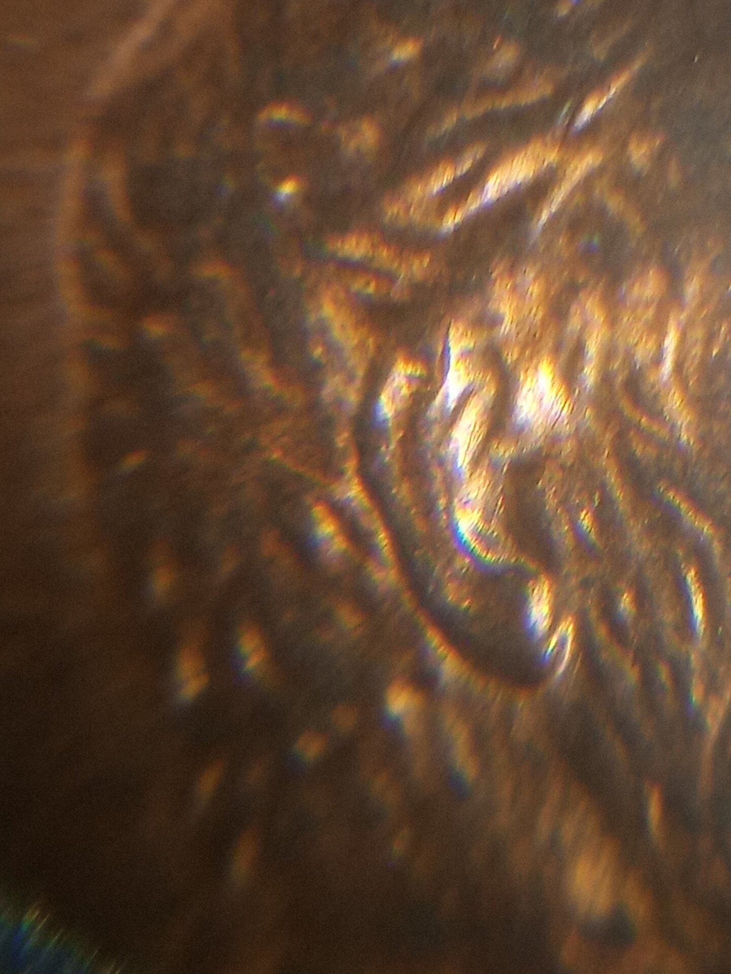 20211030_164248.jpg