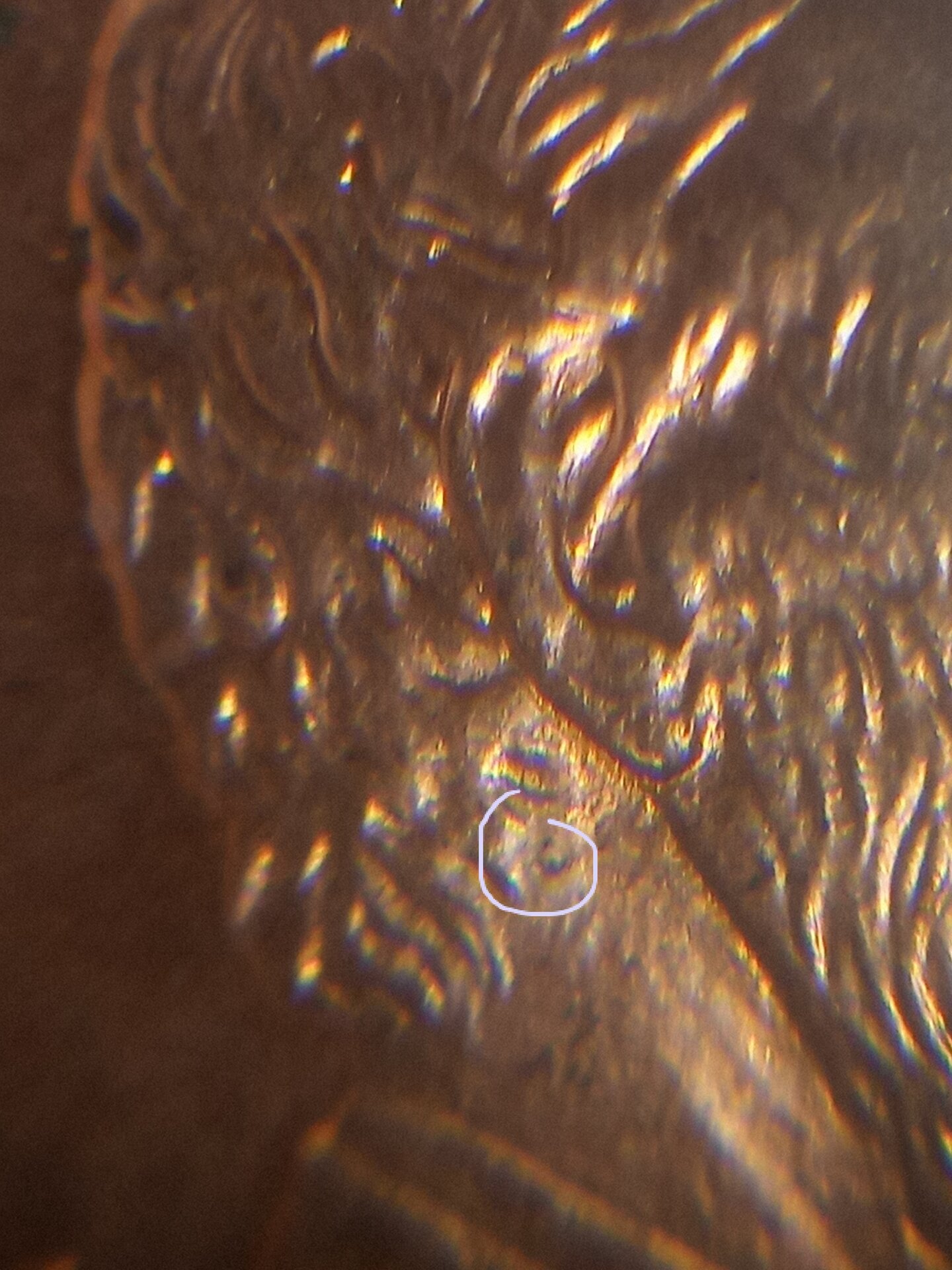20211030_174218.jpg
