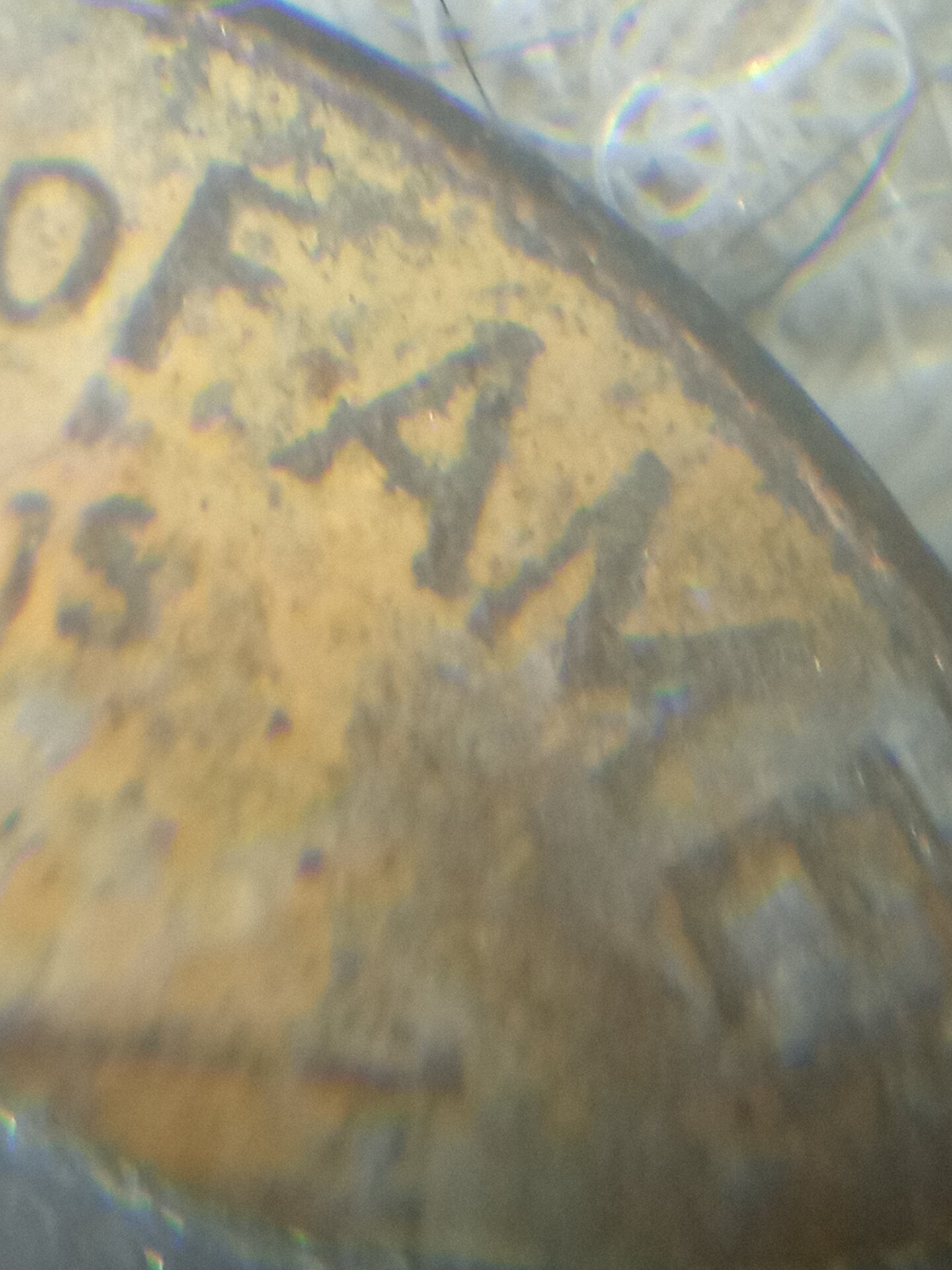 20211030_195424.jpg