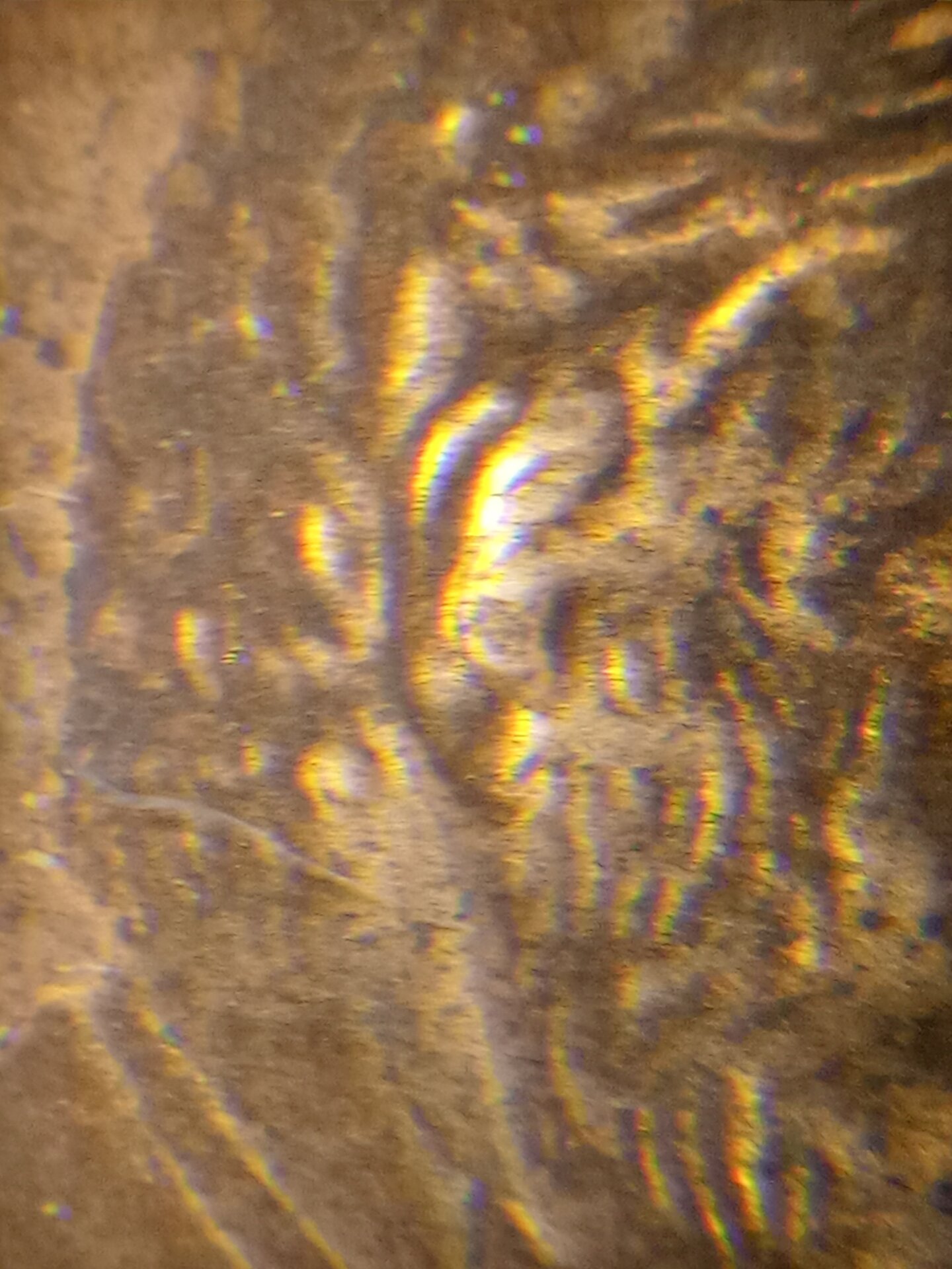 20211031_140805.jpg