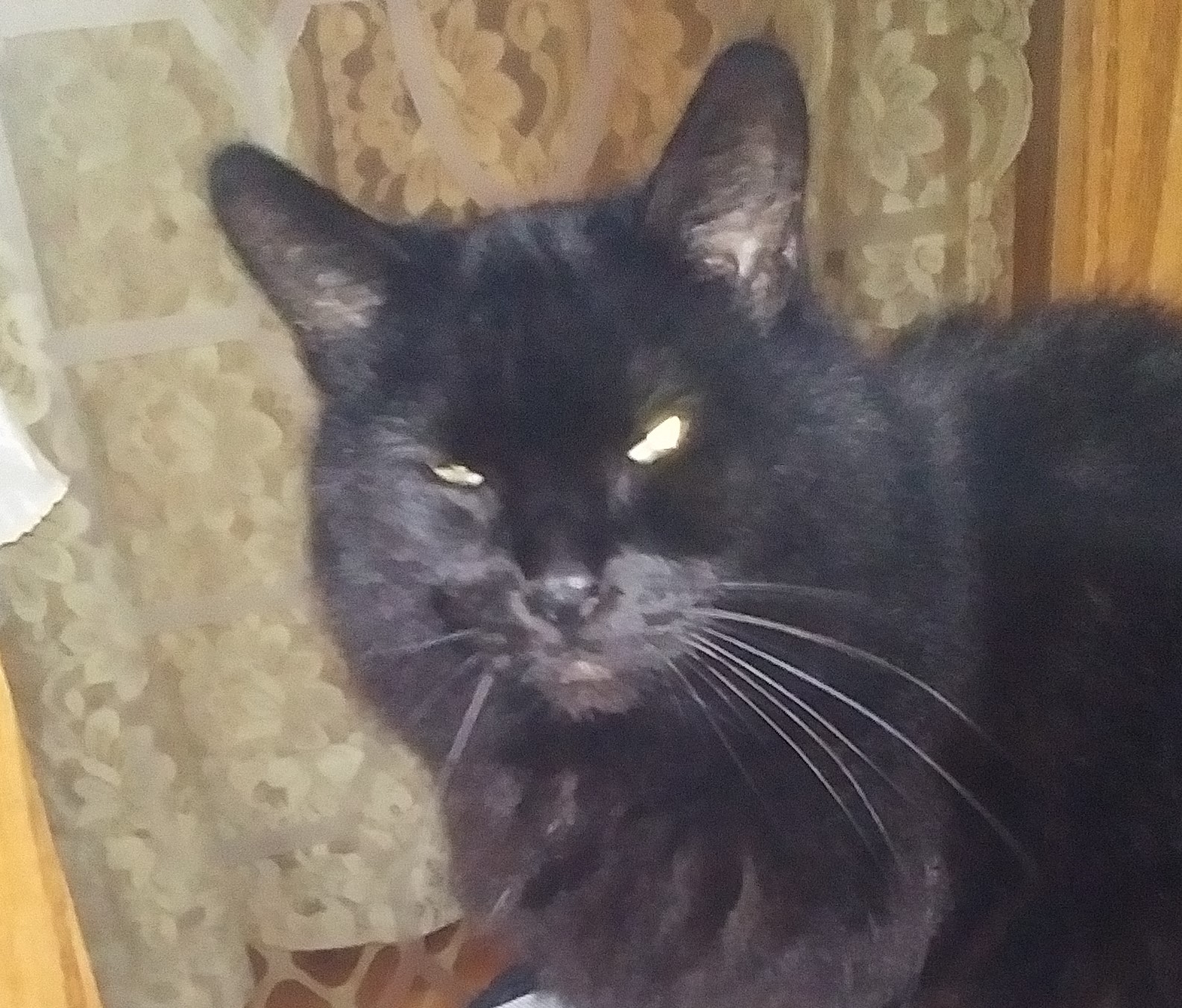 20211102_202857 (2).jpg