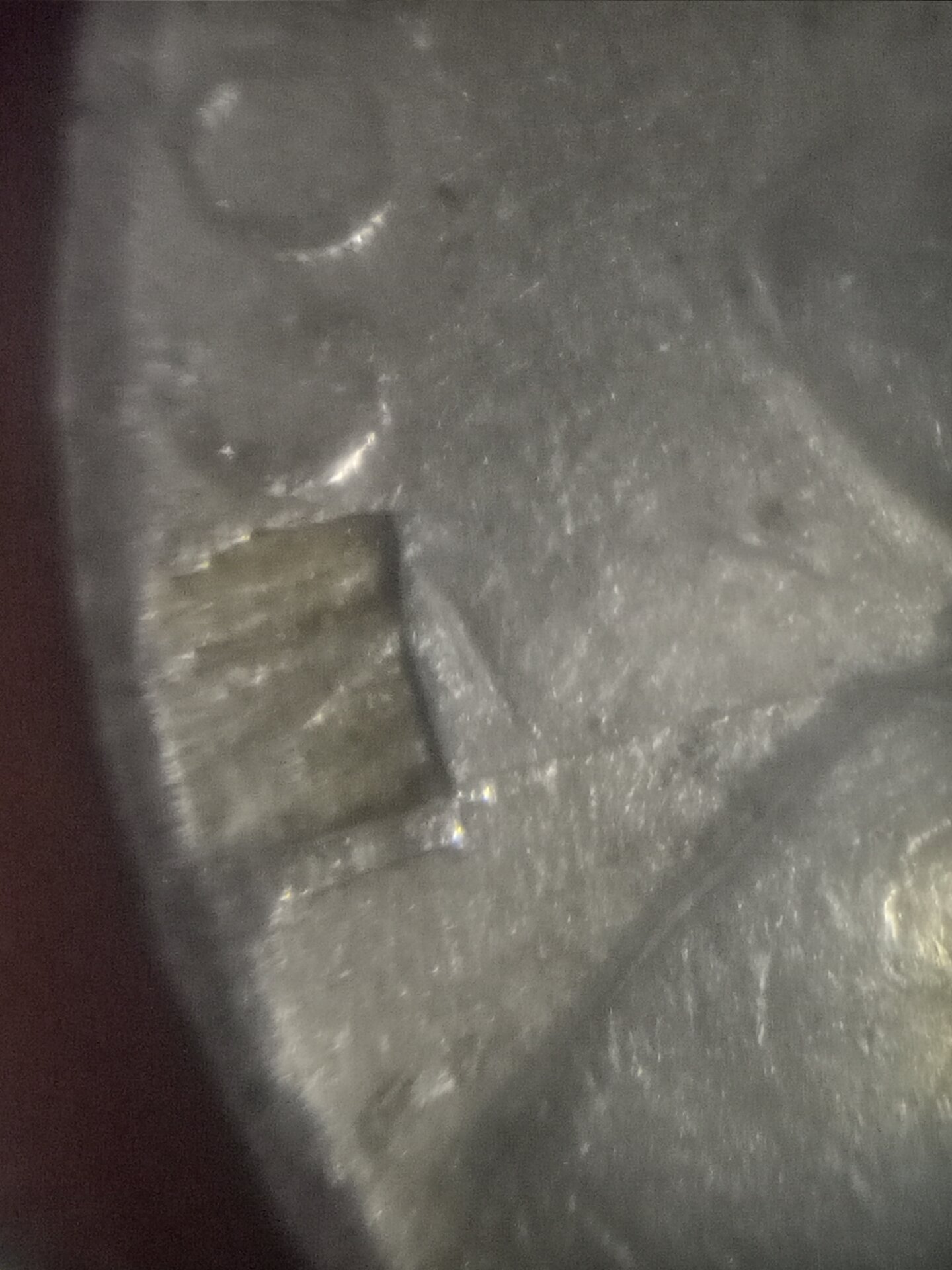 20211105_204722.jpg