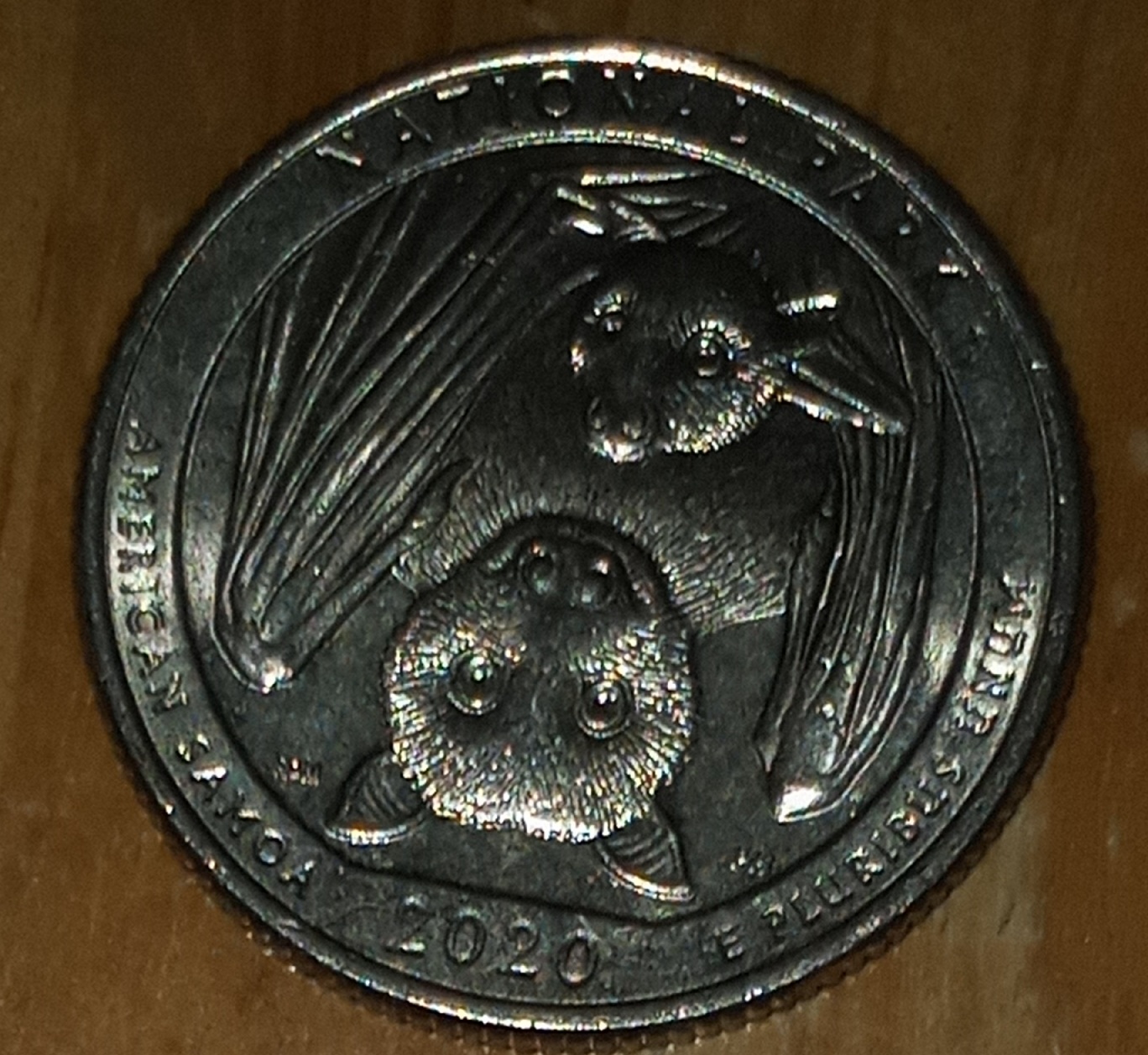 20211110_194836.jpg
