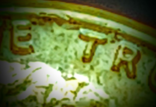 20211113_033310~2.jpg