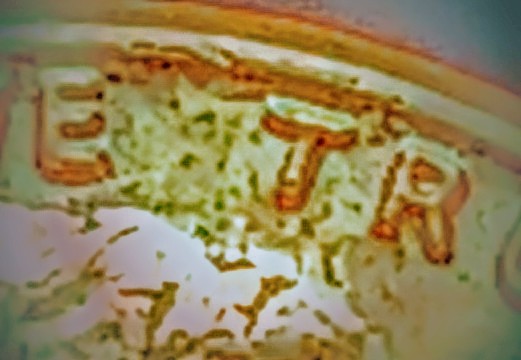 20211113_033310~3.jpg