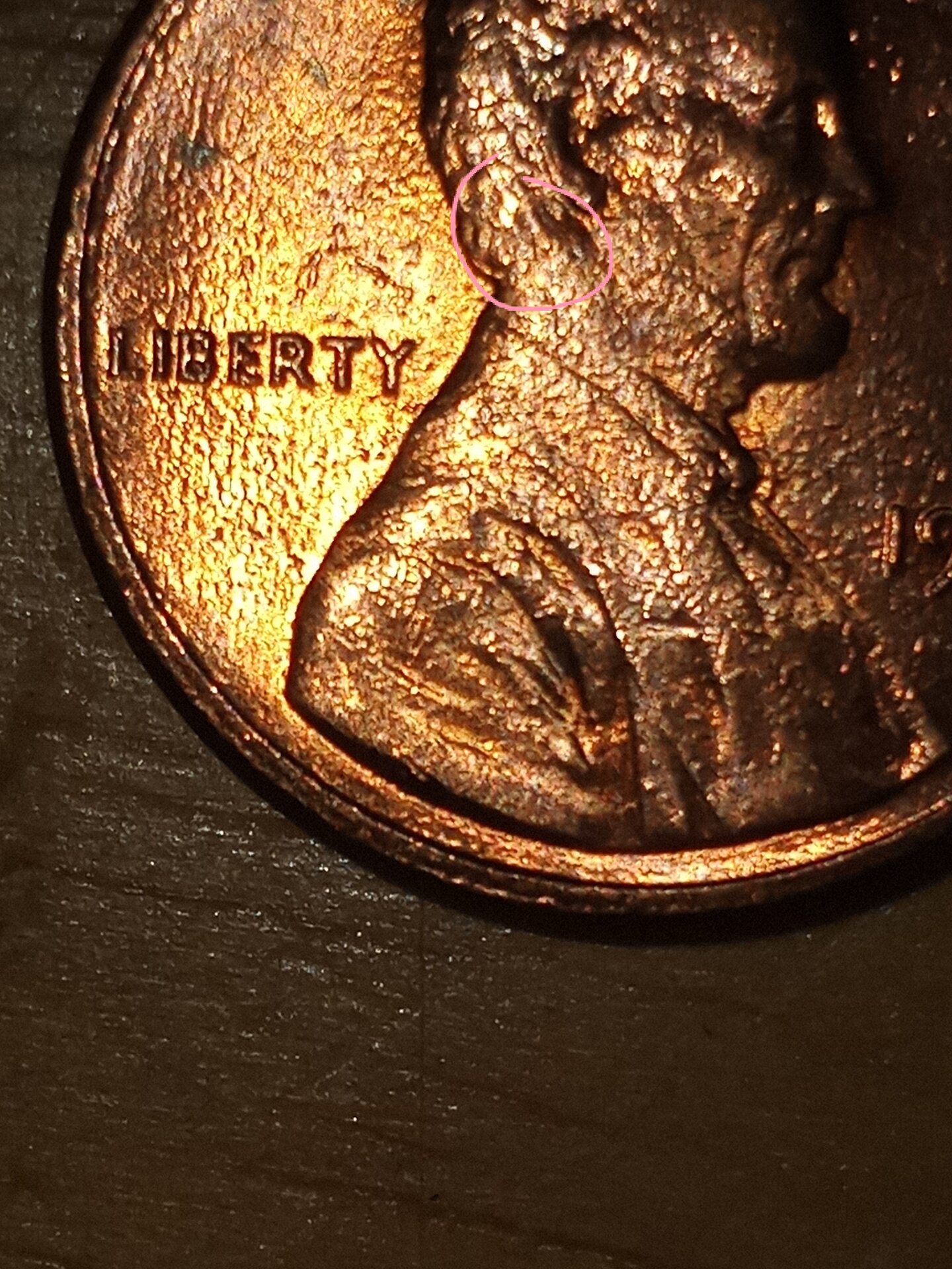 20211116_143843.jpg