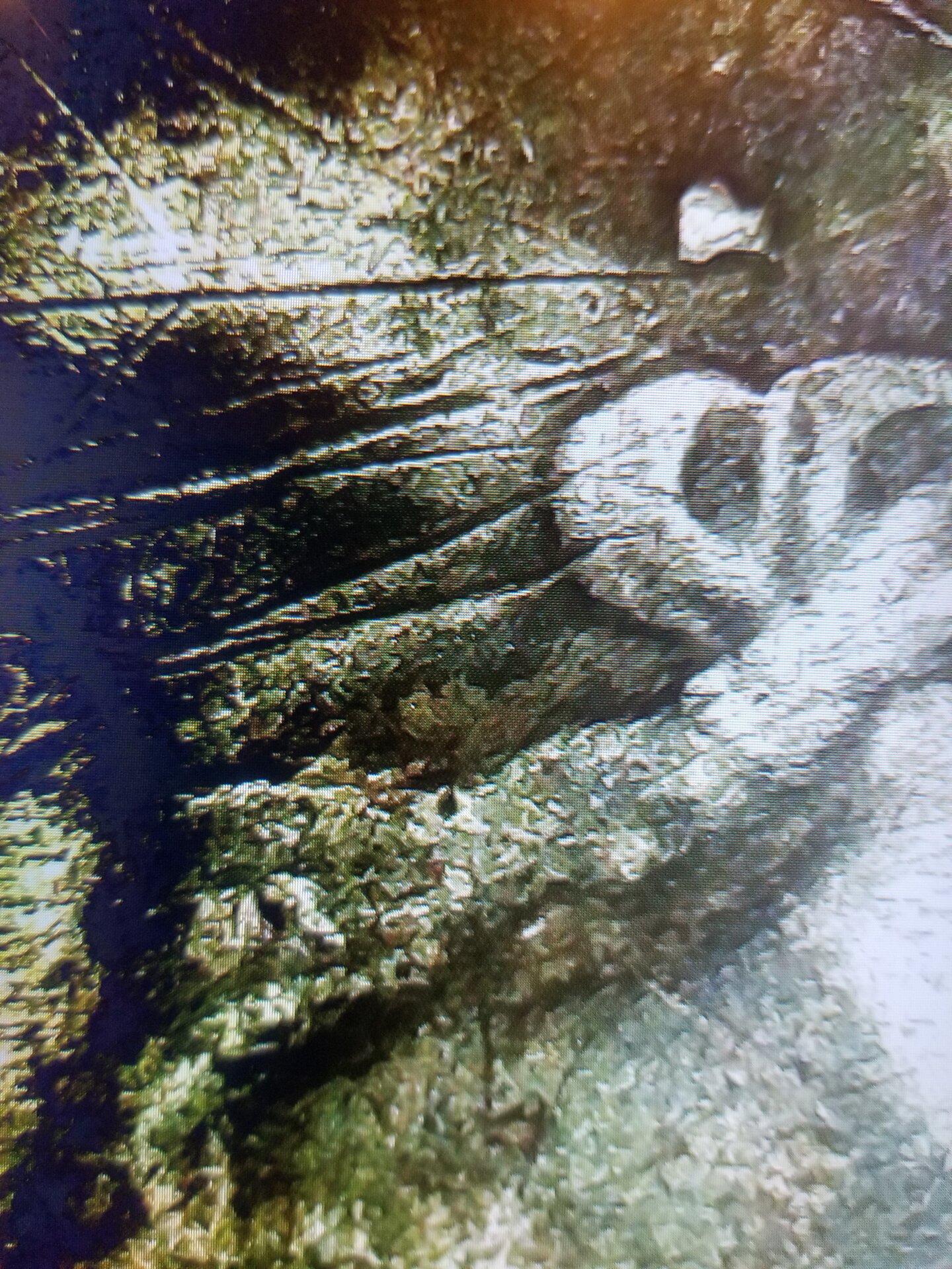 20211129_191638.jpg