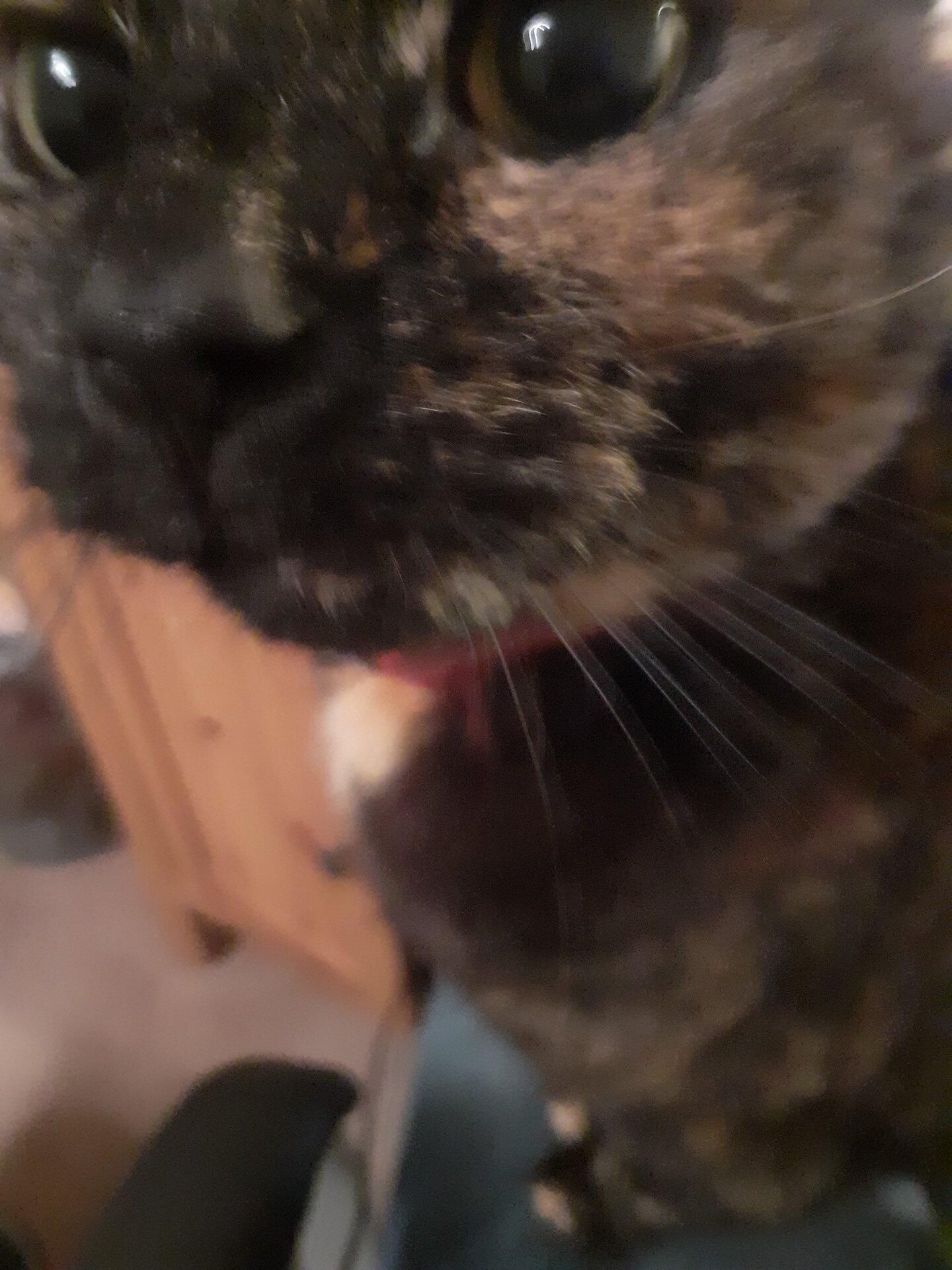 20211212_174143.jpg