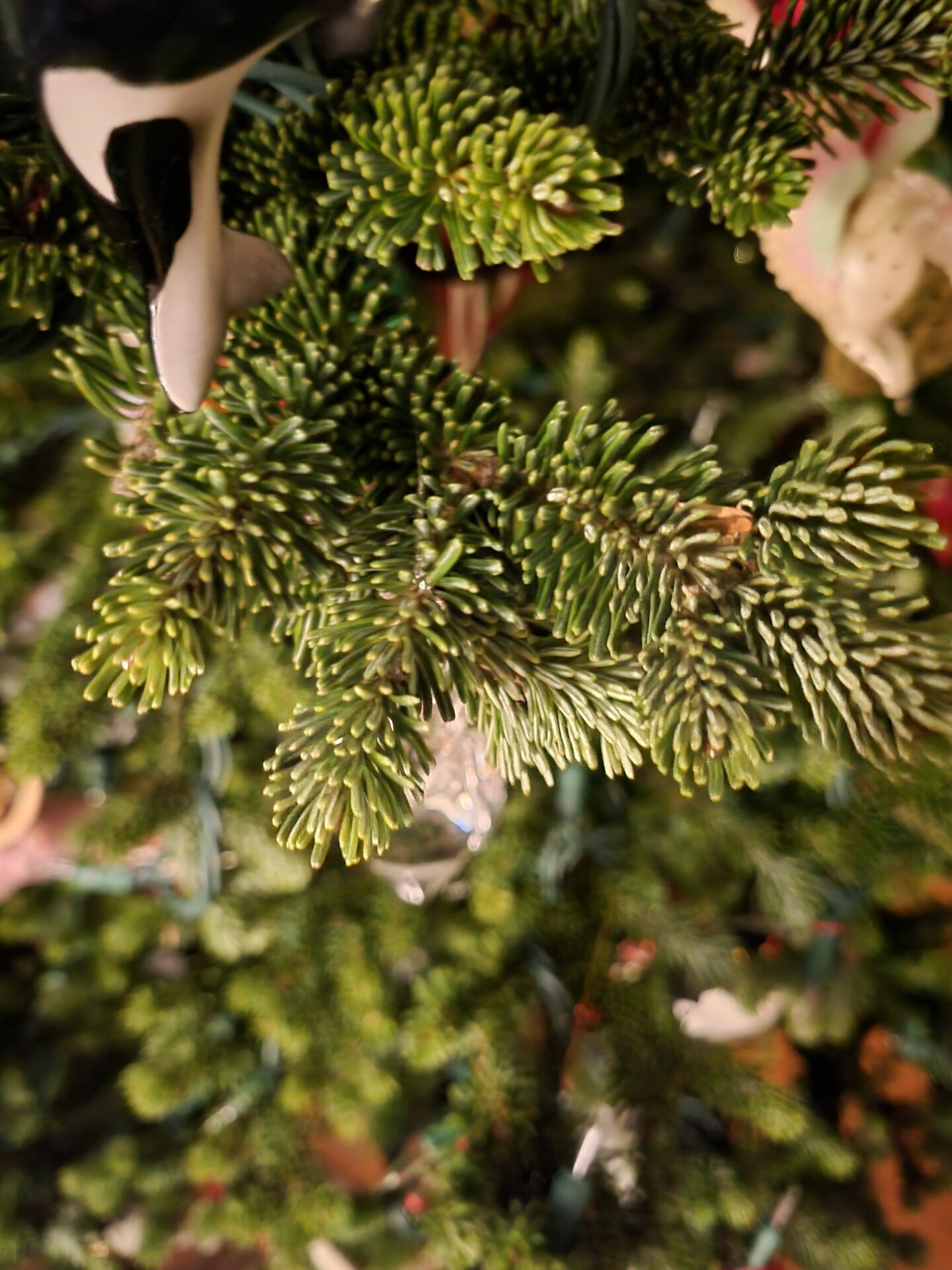 20211216_045506.jpg