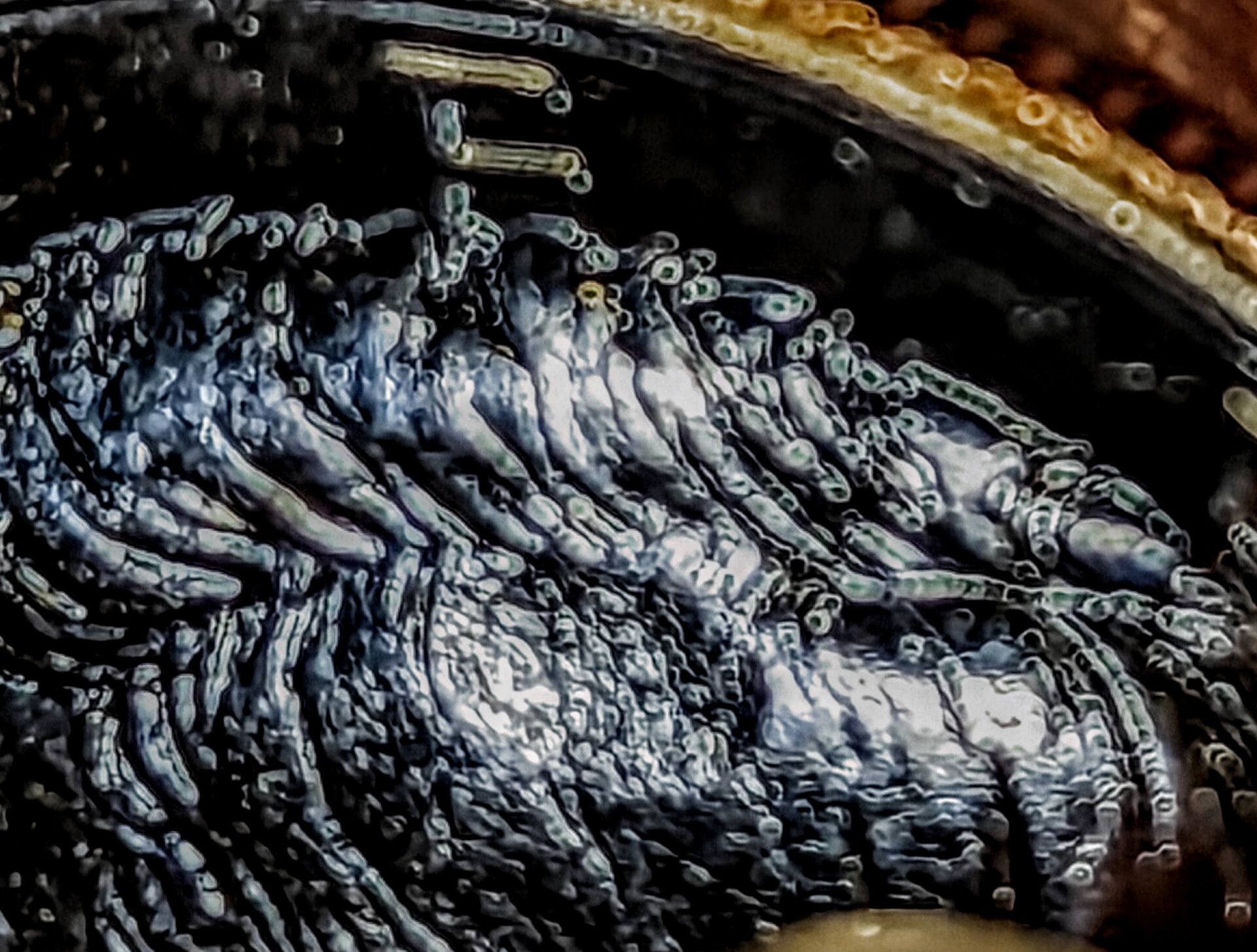 2022 close up of S.T.jpg