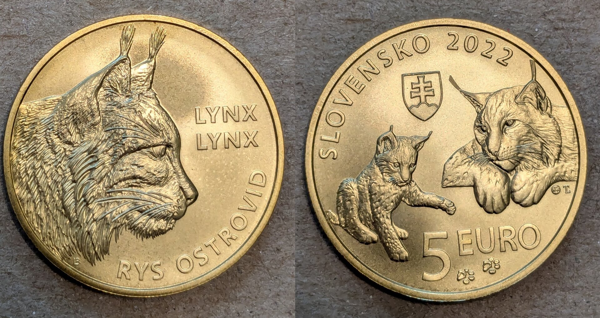 2022 slovakia 5 euro lynx.jpg