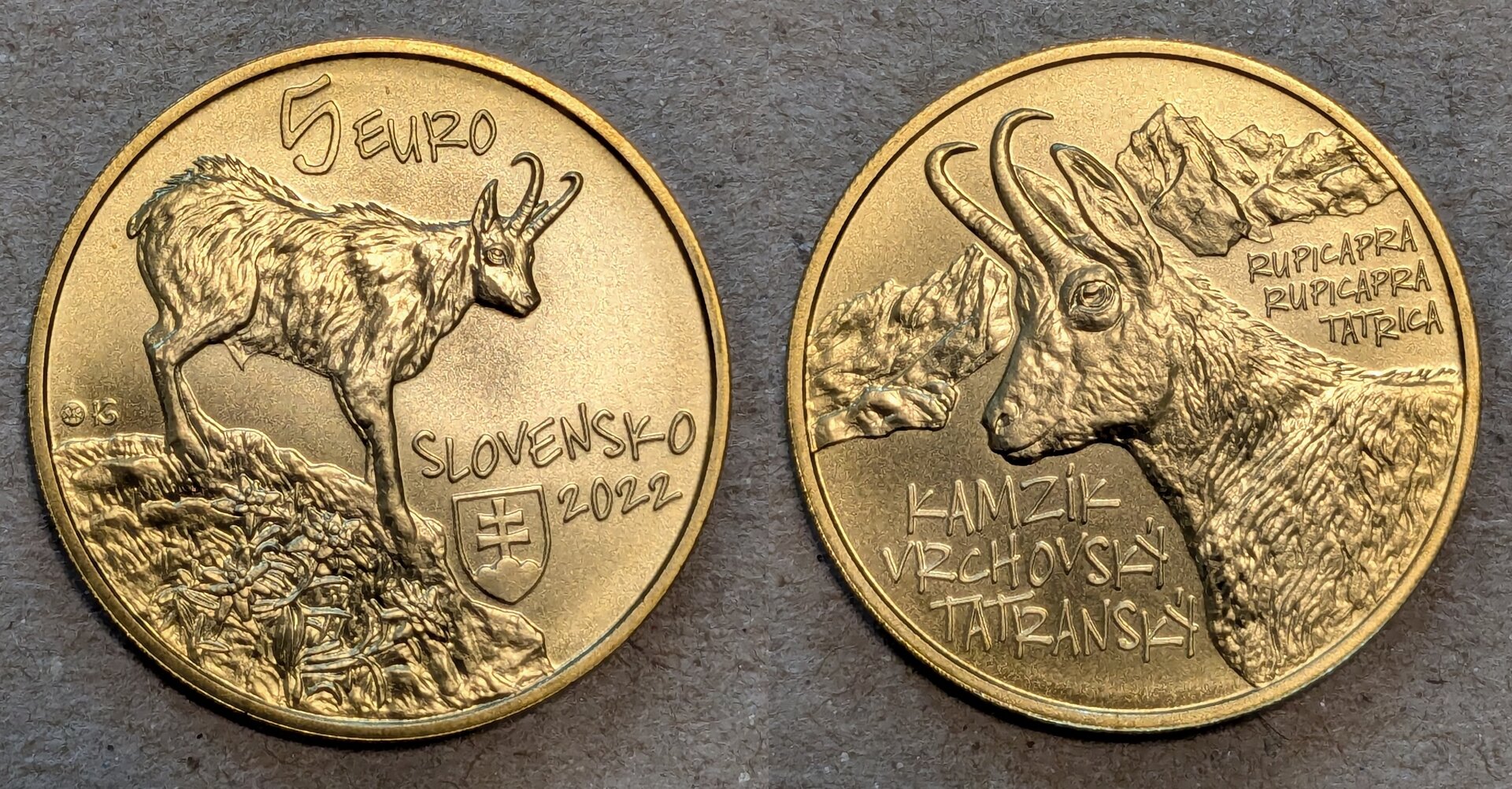 2022 slovakia 5 euros.jpg