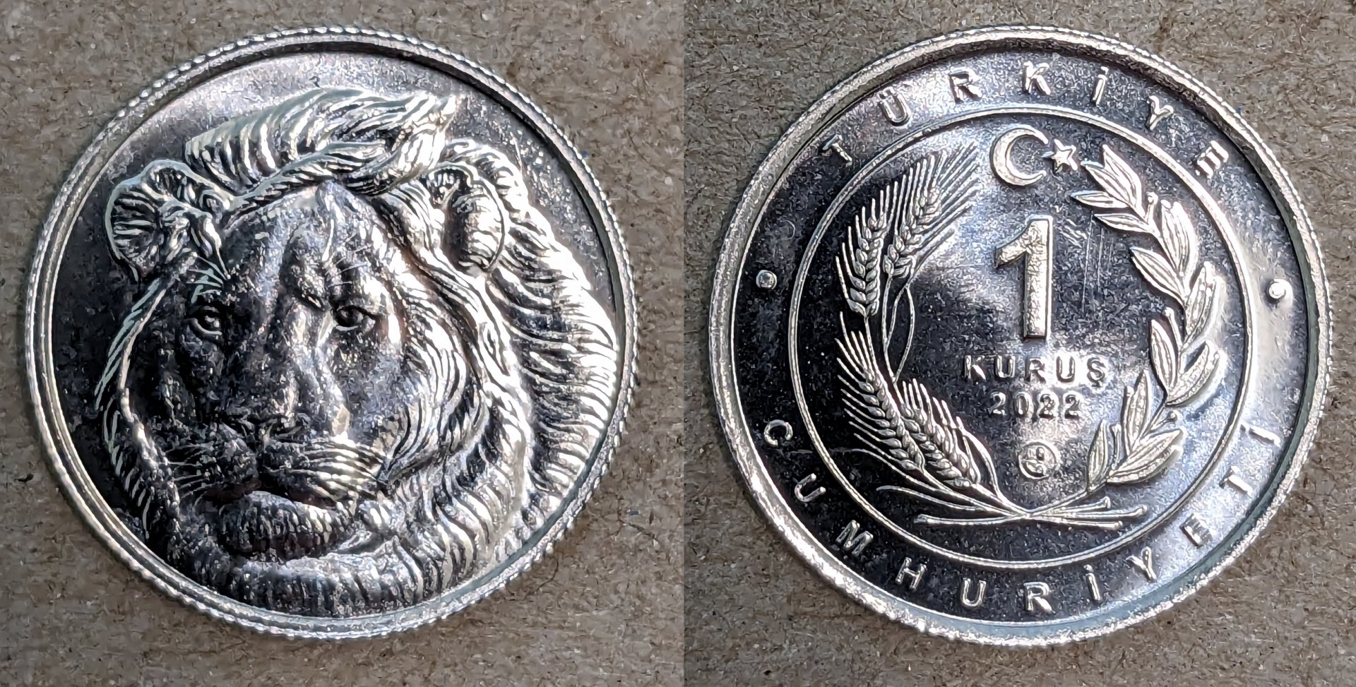 2022 turkey 1 kurus lion.jpg