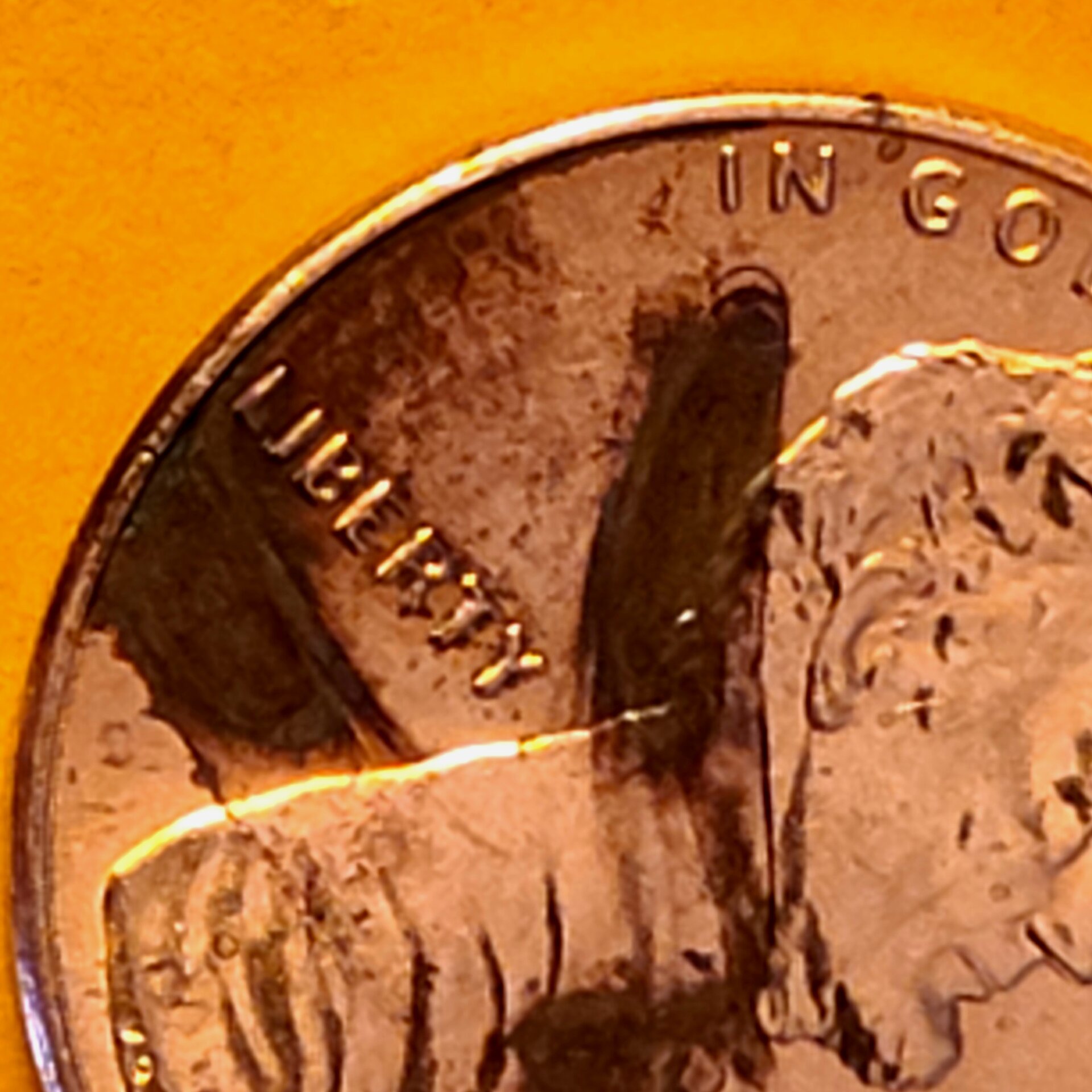 20220115_140441.jpg