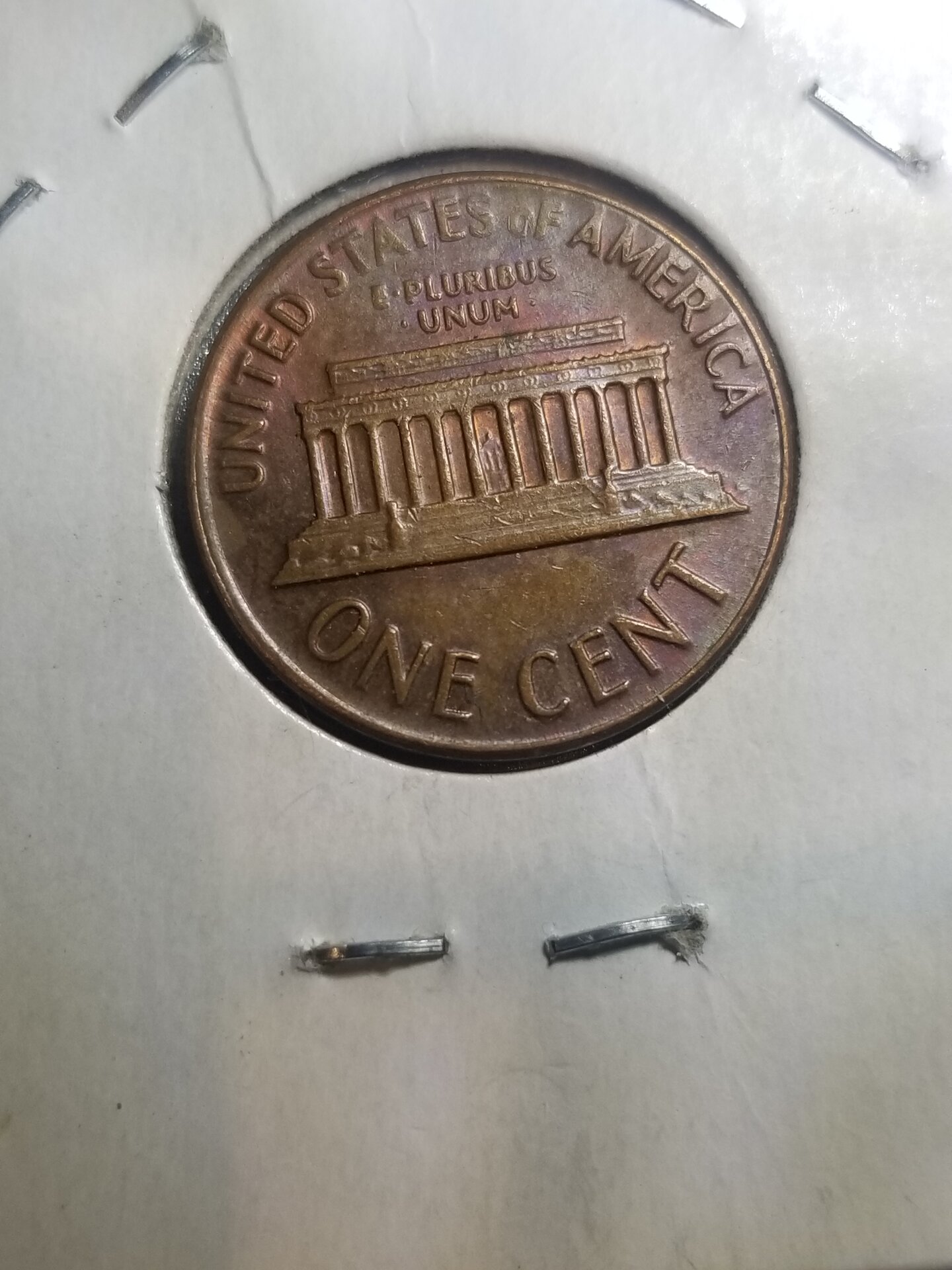 20220125_190031.jpg