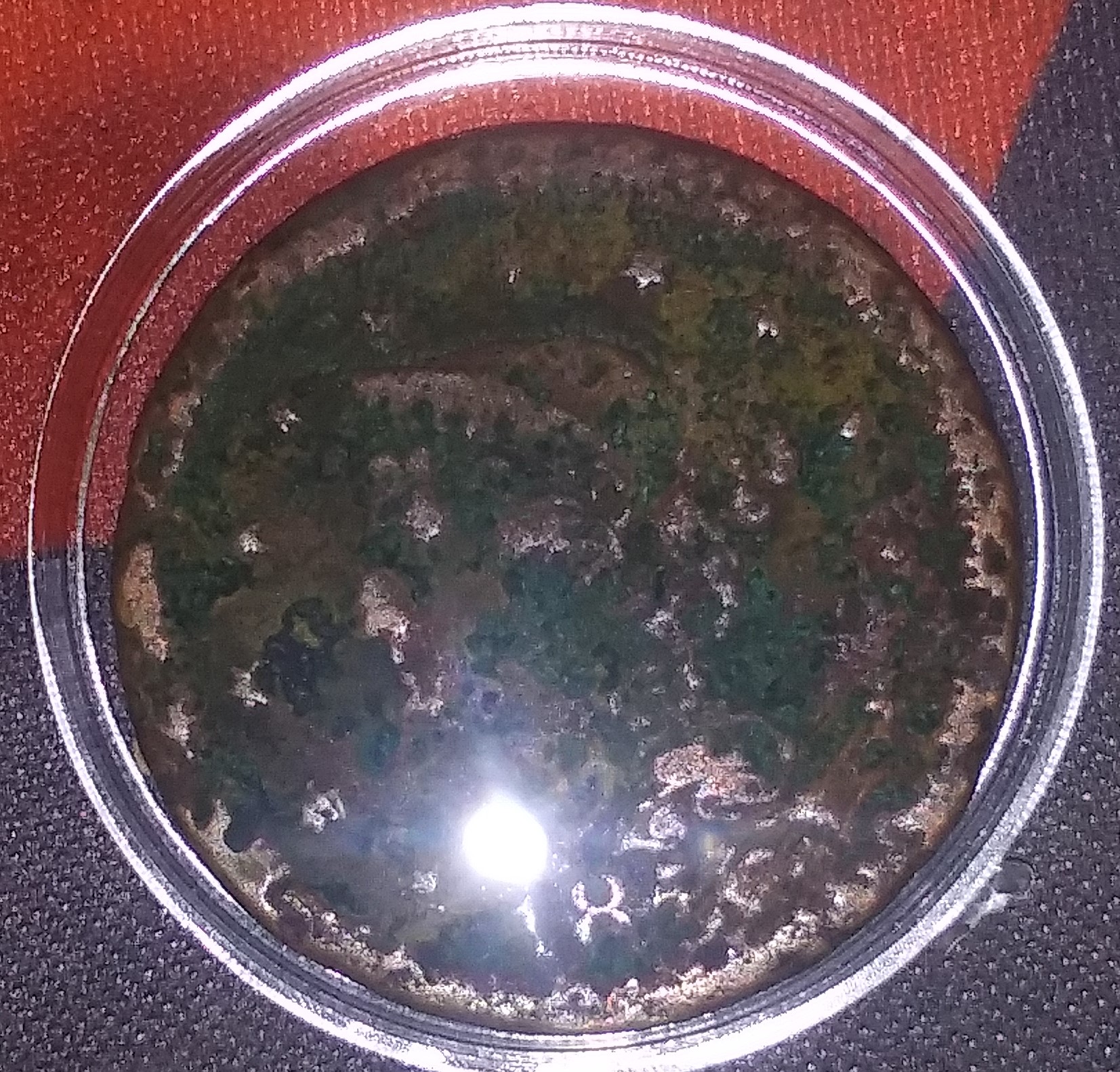 20220125_194627.jpg