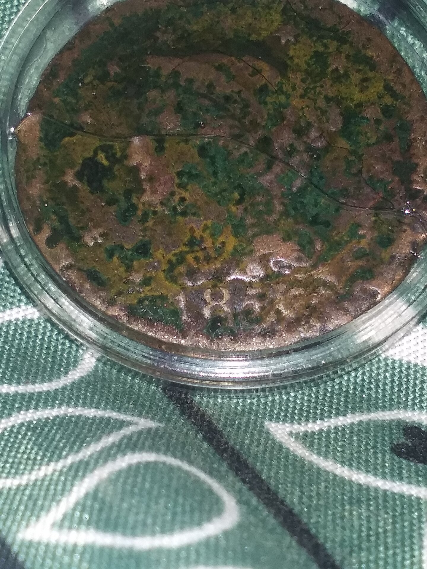 20220125_230347.jpg