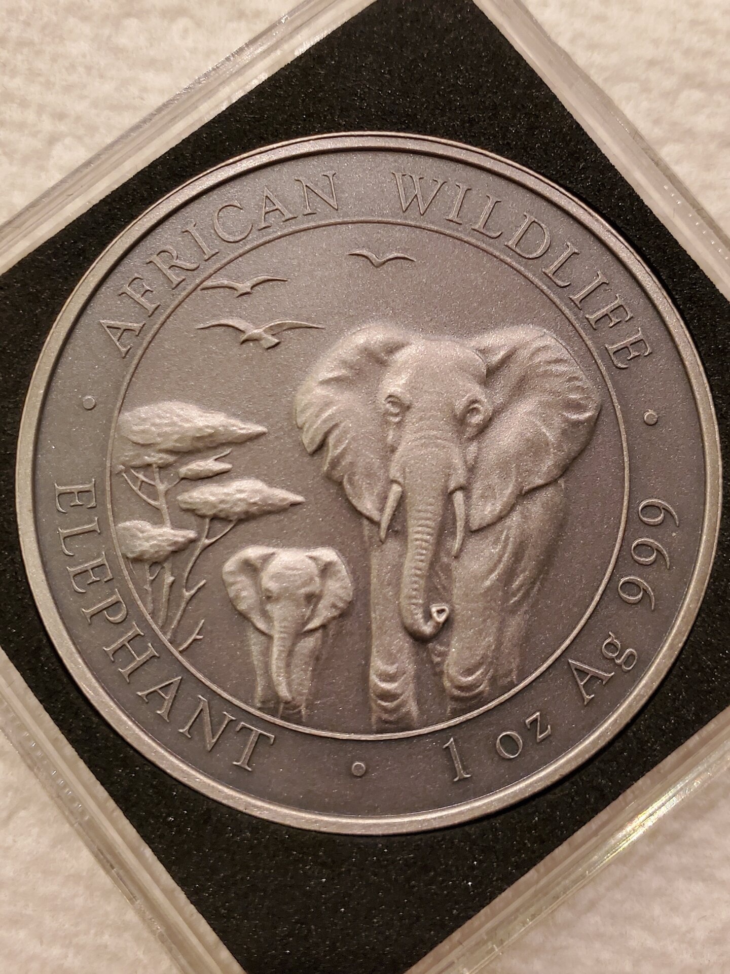 20220127_202430.jpg