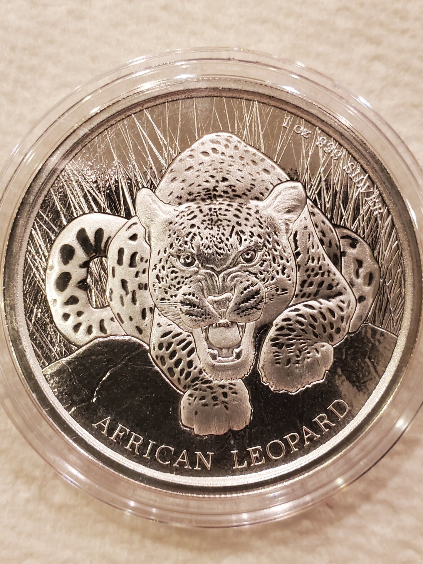 20220127_214035.jpg