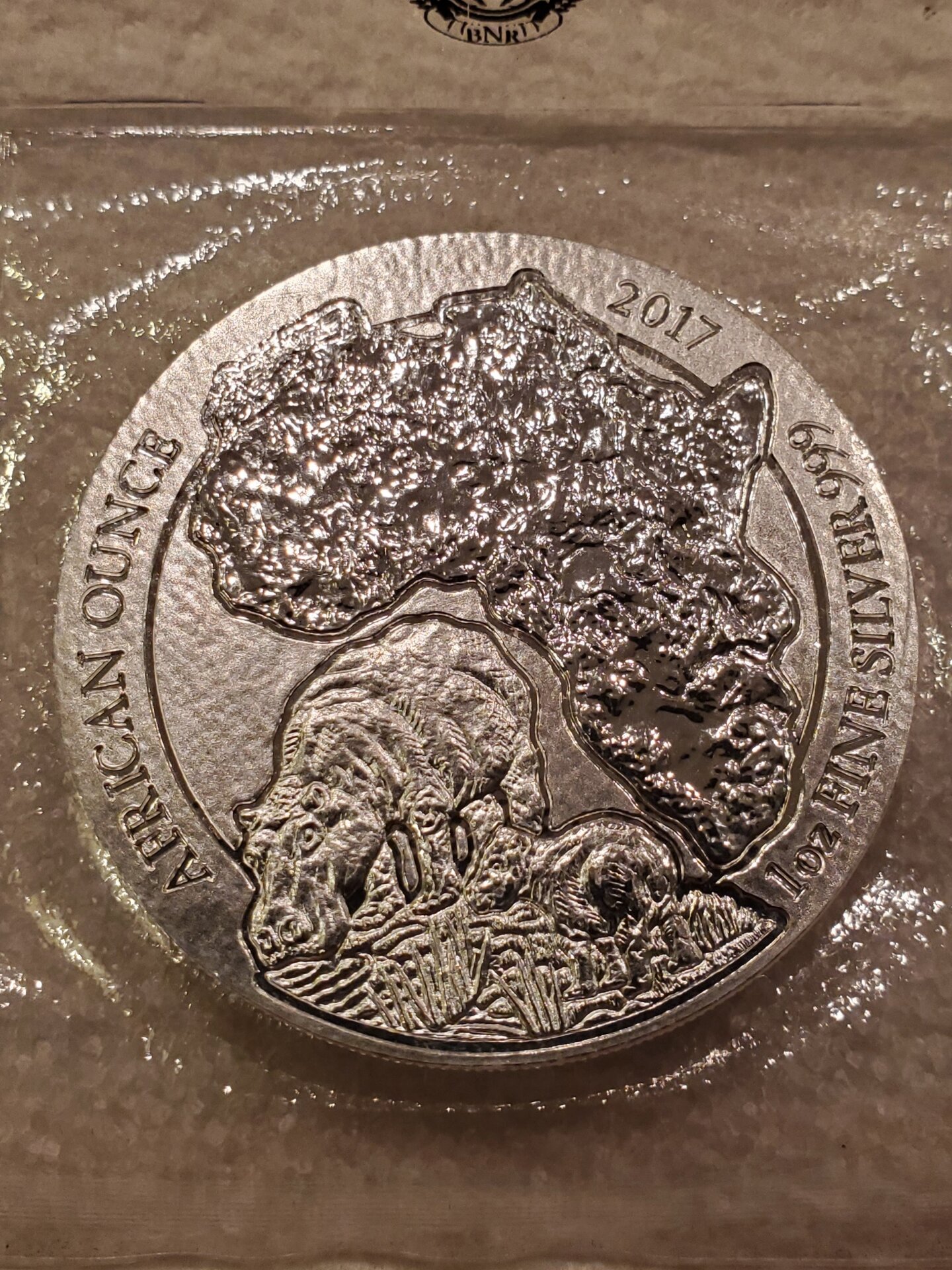 20220127_214104.jpg
