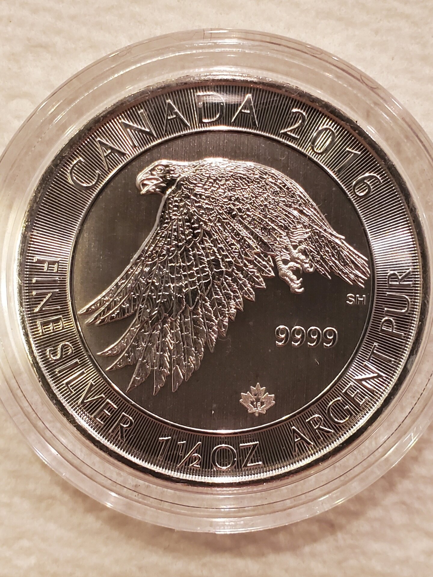 20220128_152546.jpg