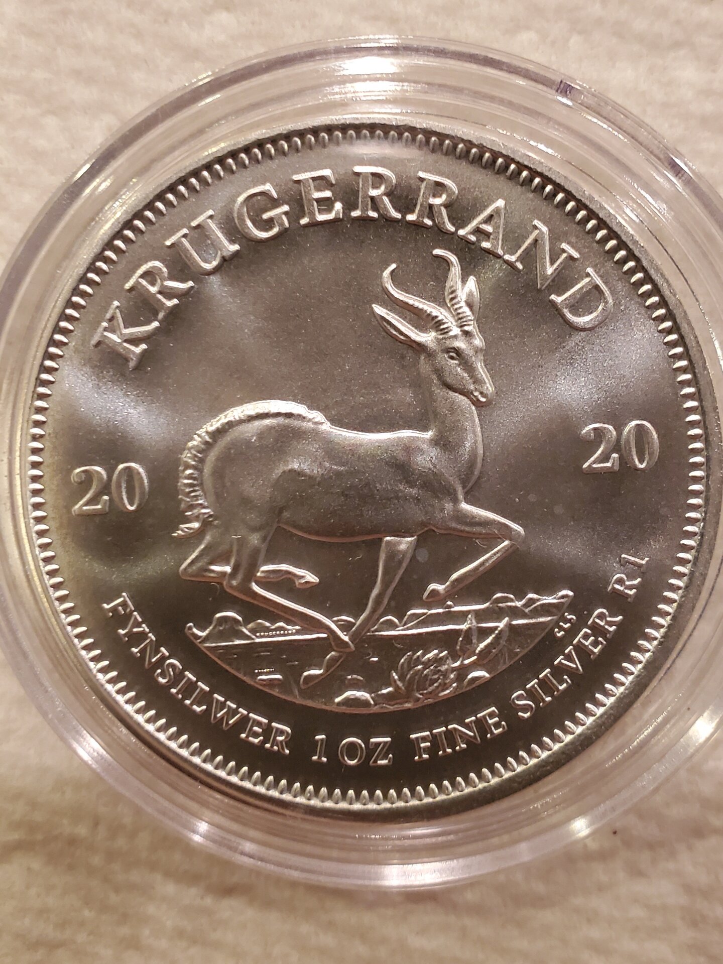 20220128_152848.jpg