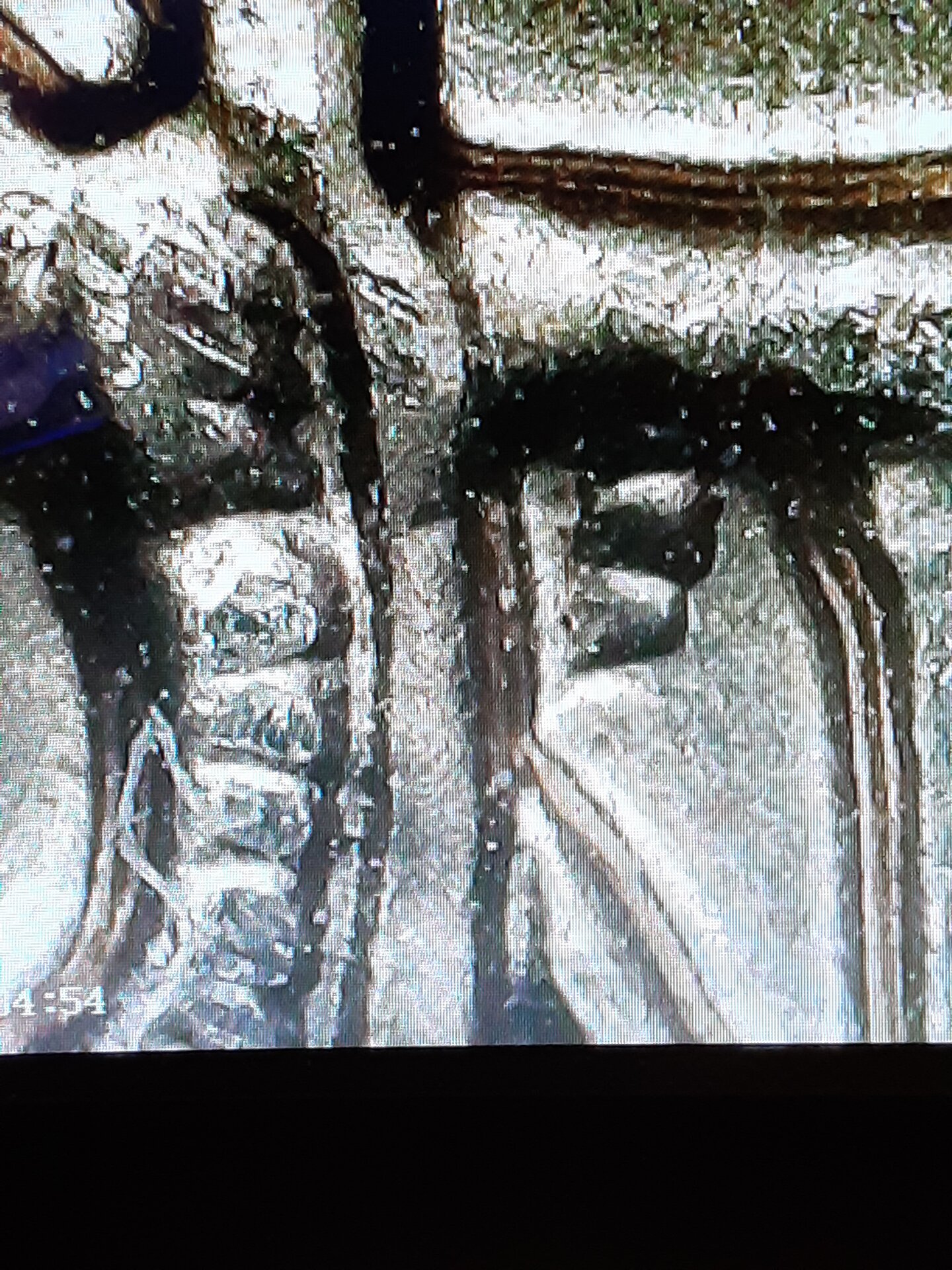 20220203_100417.jpg