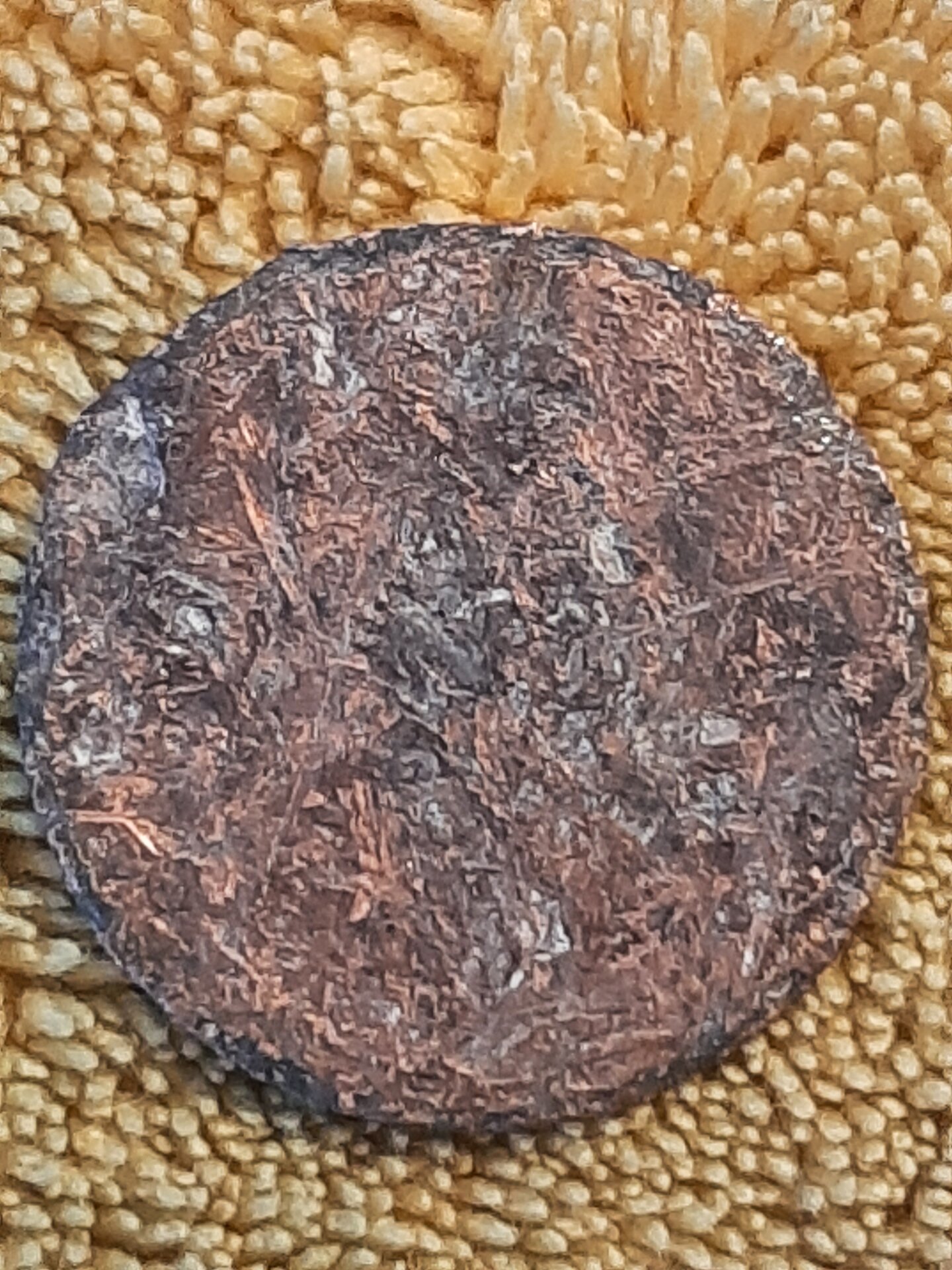 20220206_130756.jpg
