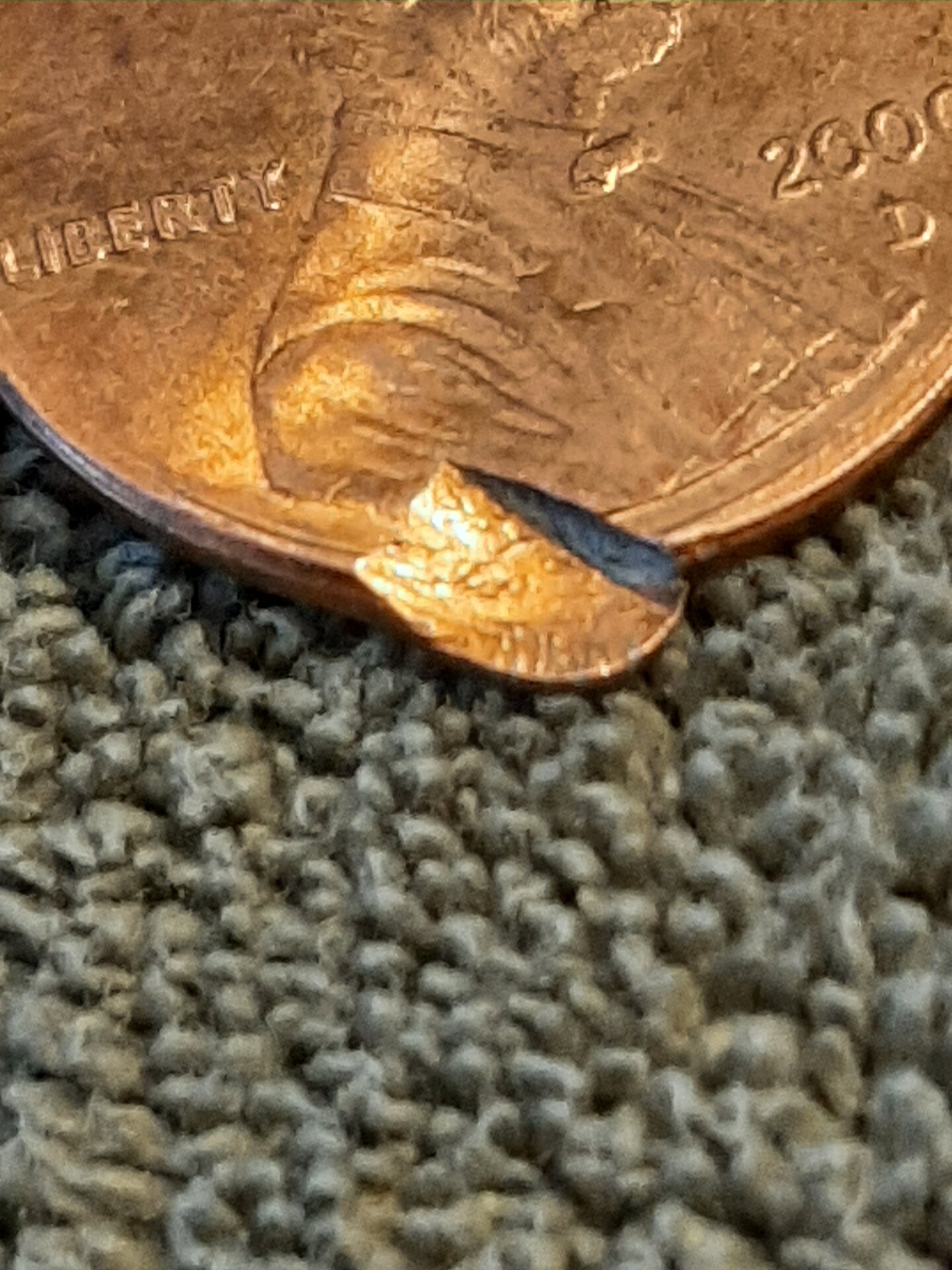20220208_160617.jpg