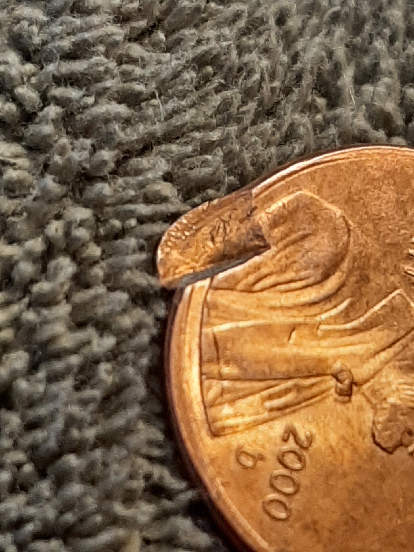20220208_160831.jpg