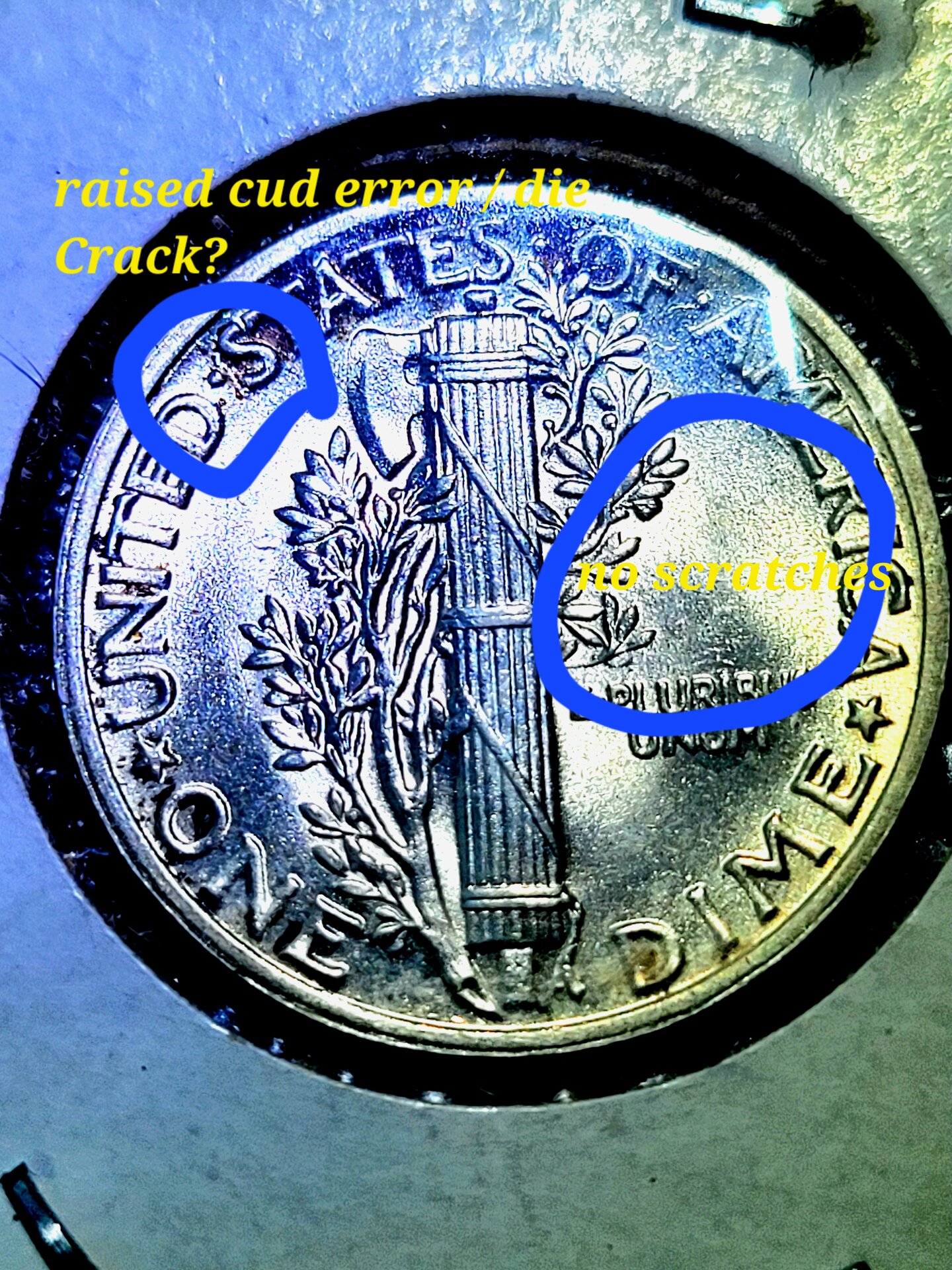 20220208_173754.jpg