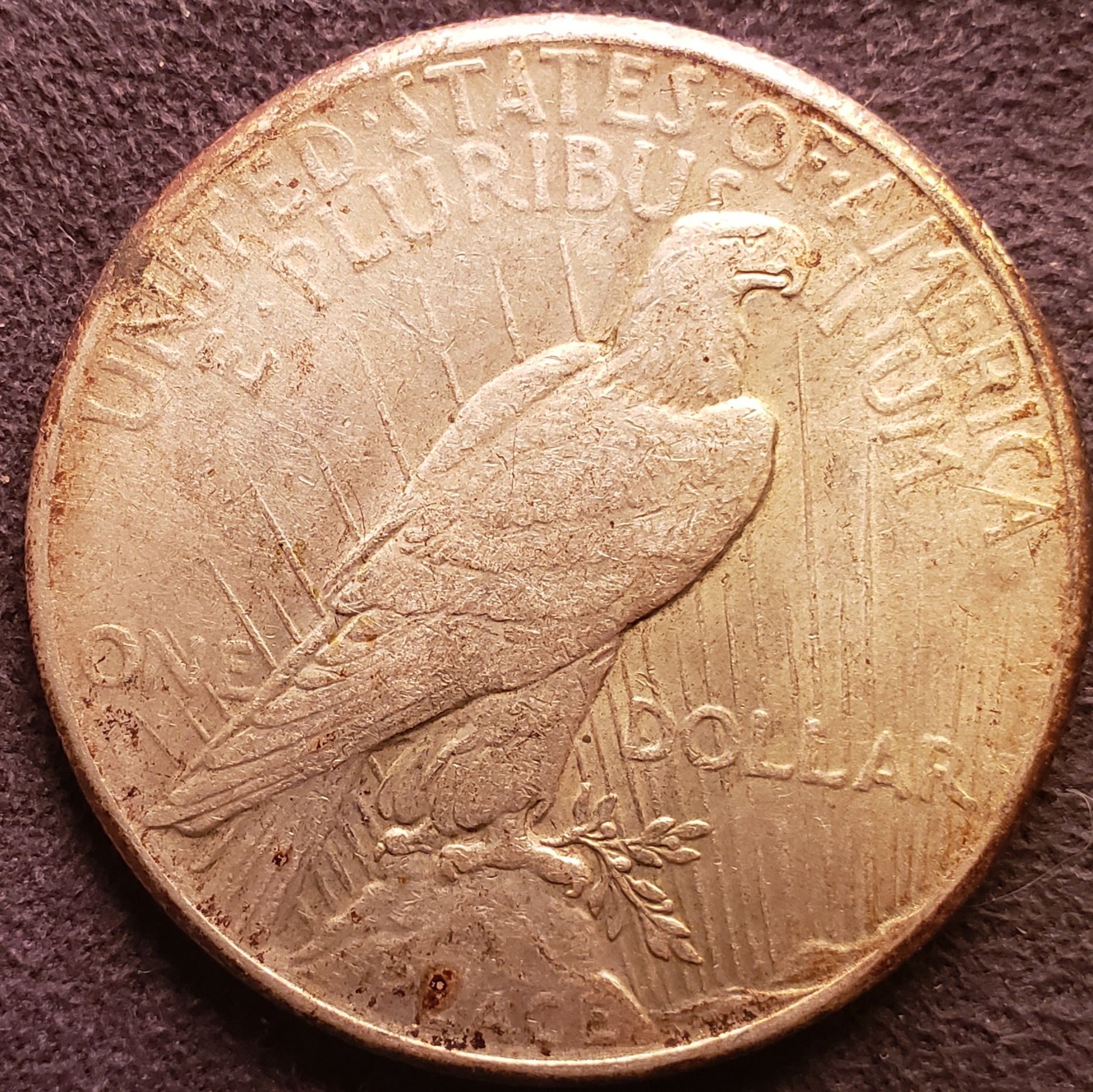 20220222_175923.jpg