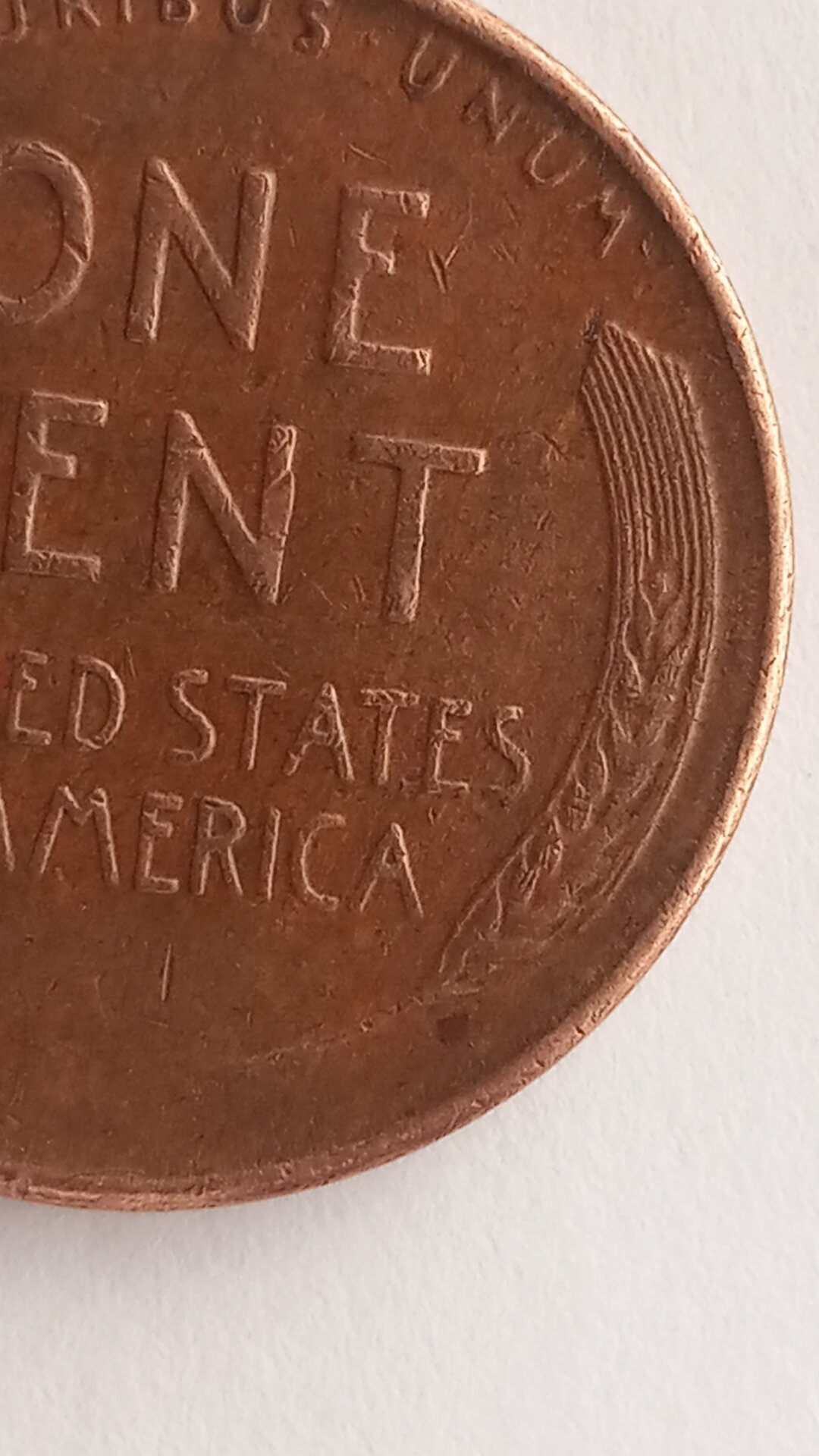 20220227_134220.jpg