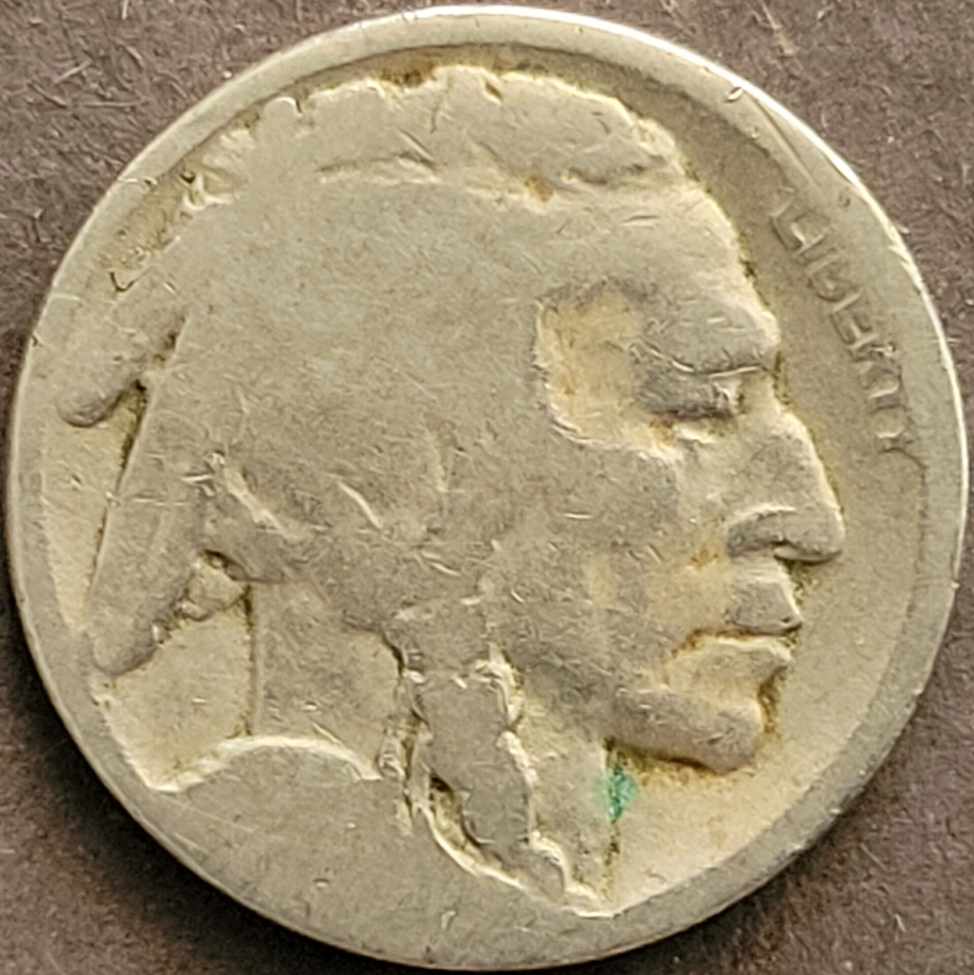 20220228_131139.jpg