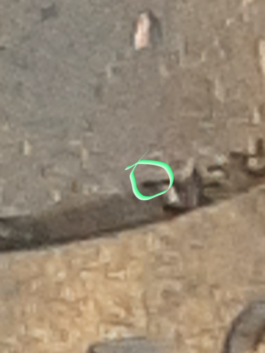 20220301_114802.jpg