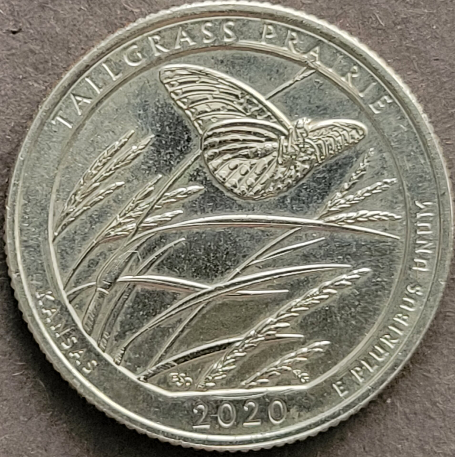 20220301_132637.jpg