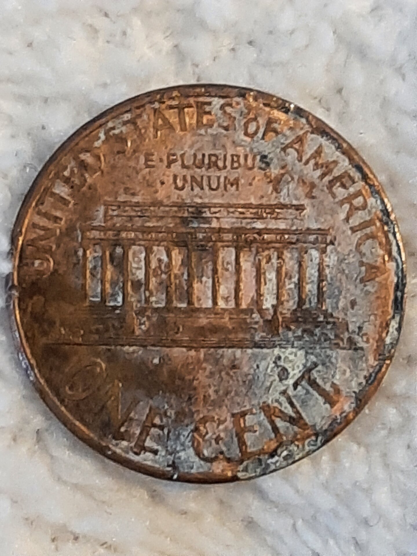 20220301_152734.jpg