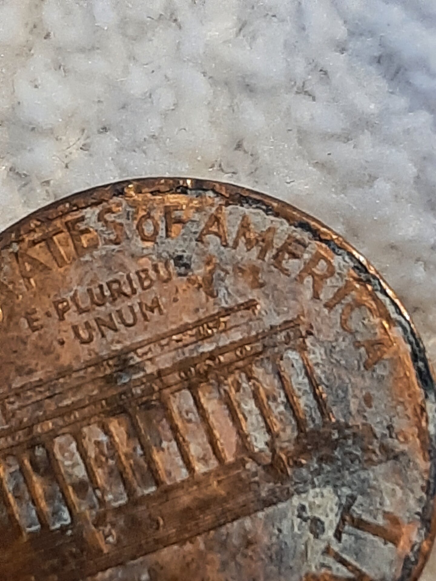 20220301_152755.jpg