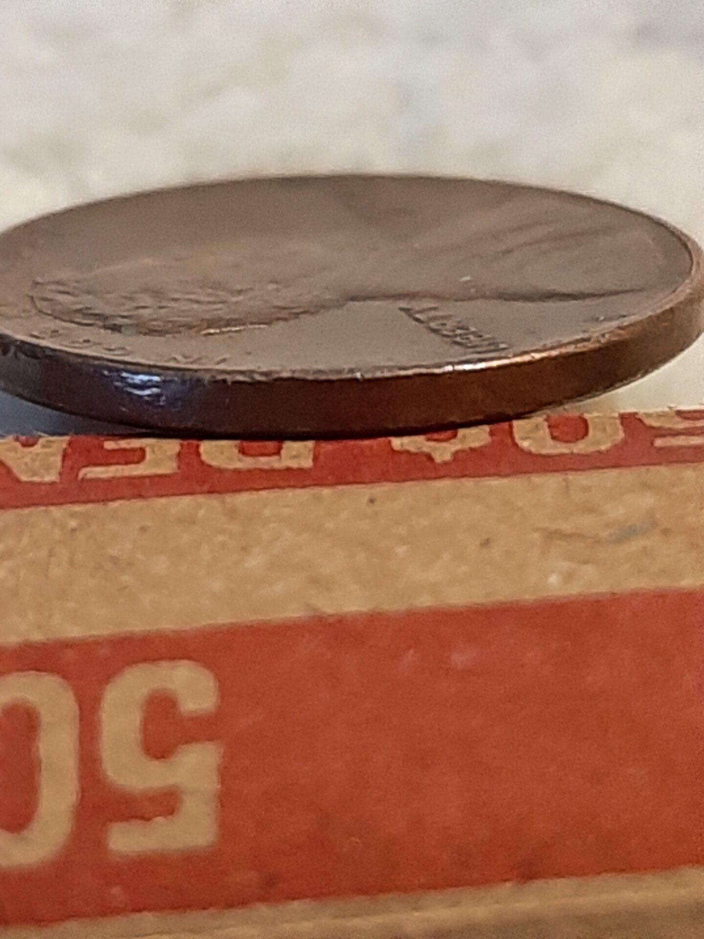 20220301_171255.jpg