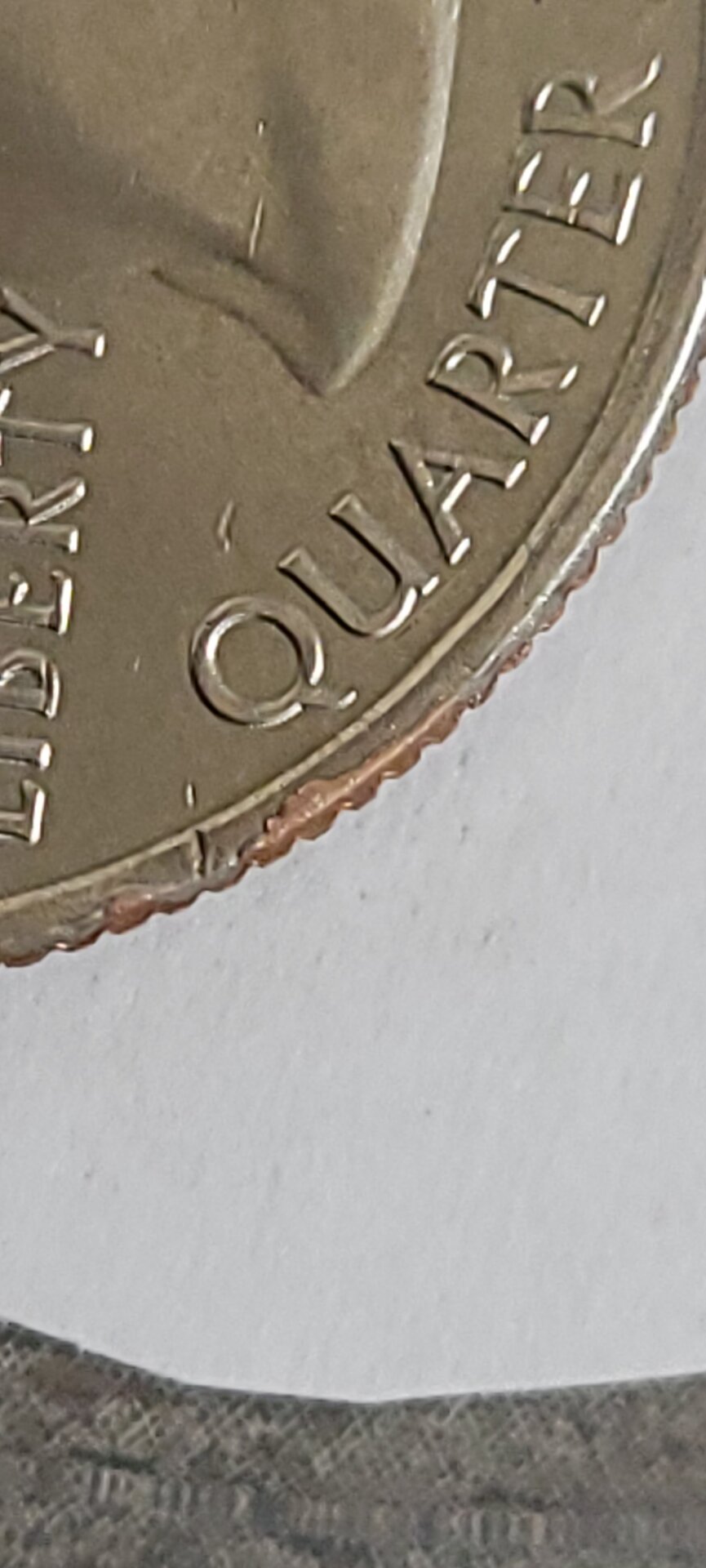 20220304_122952.jpg