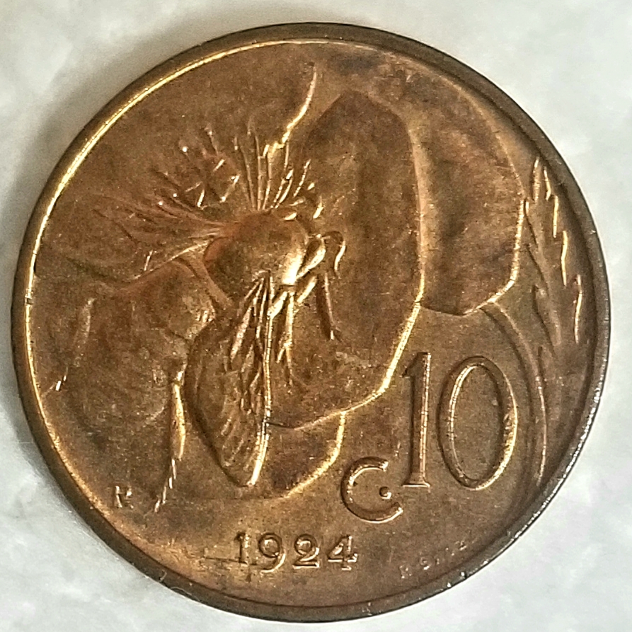 20220304_154203.jpg